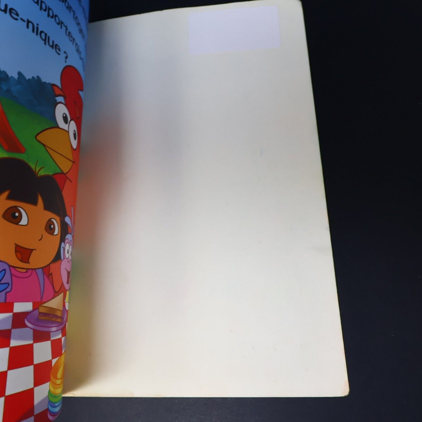 Lot 6 Livres Dora l'Exploratrice Français French Enfants Le Pique-Nique de Dora