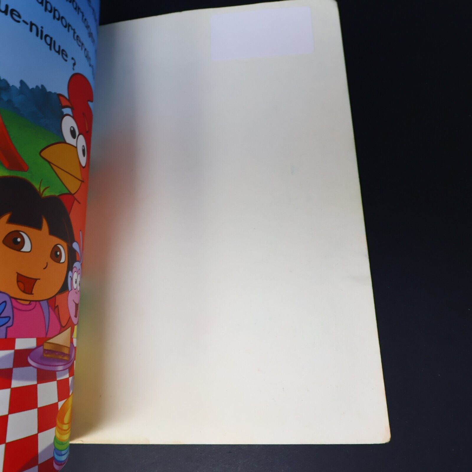 Lot 6 Livres Dora l'Exploratrice Français French Enfants Le Pique-Nique de Dora