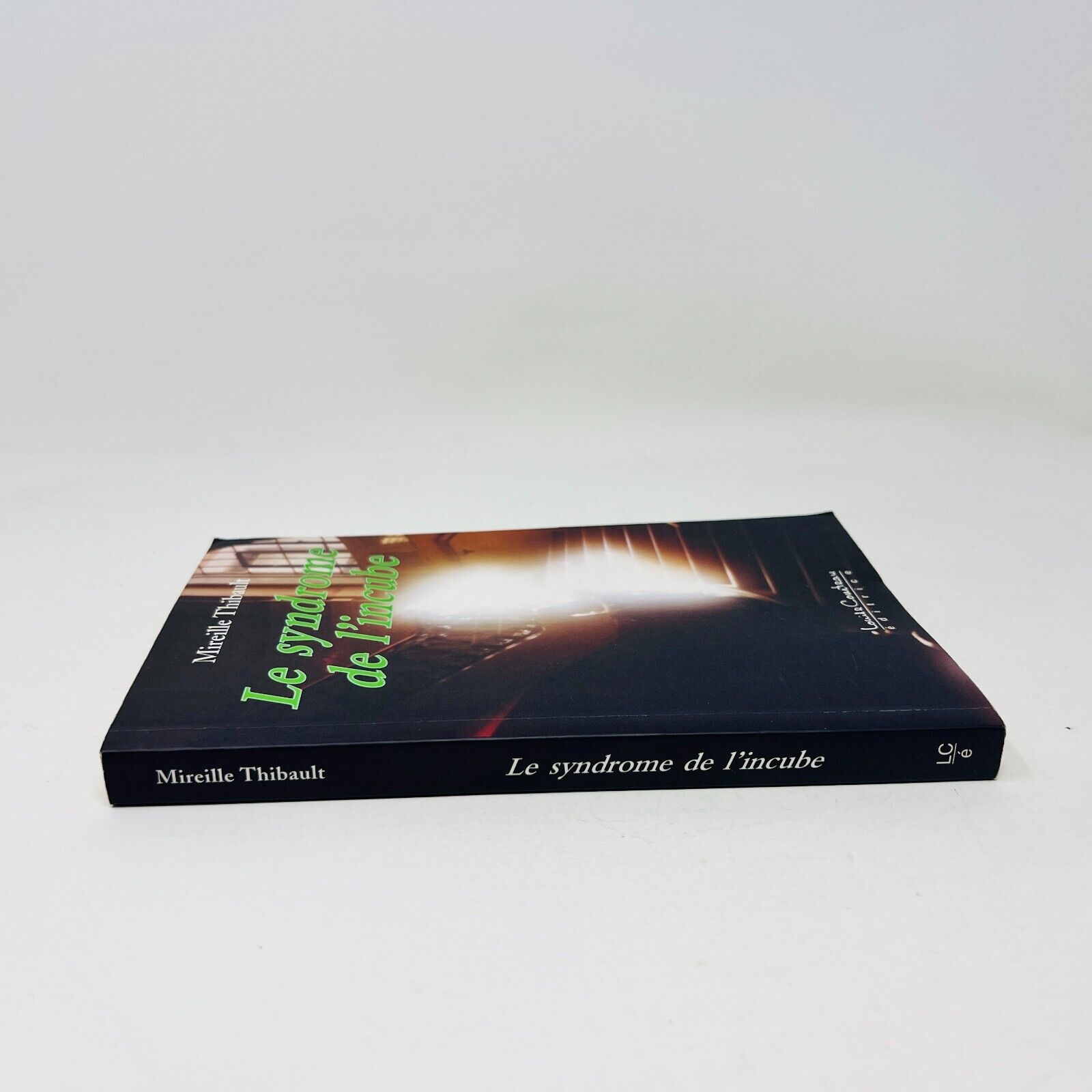 2004 Le Syndrome de l'Incube de Mireille Thibault Français Livre Louise Courteau