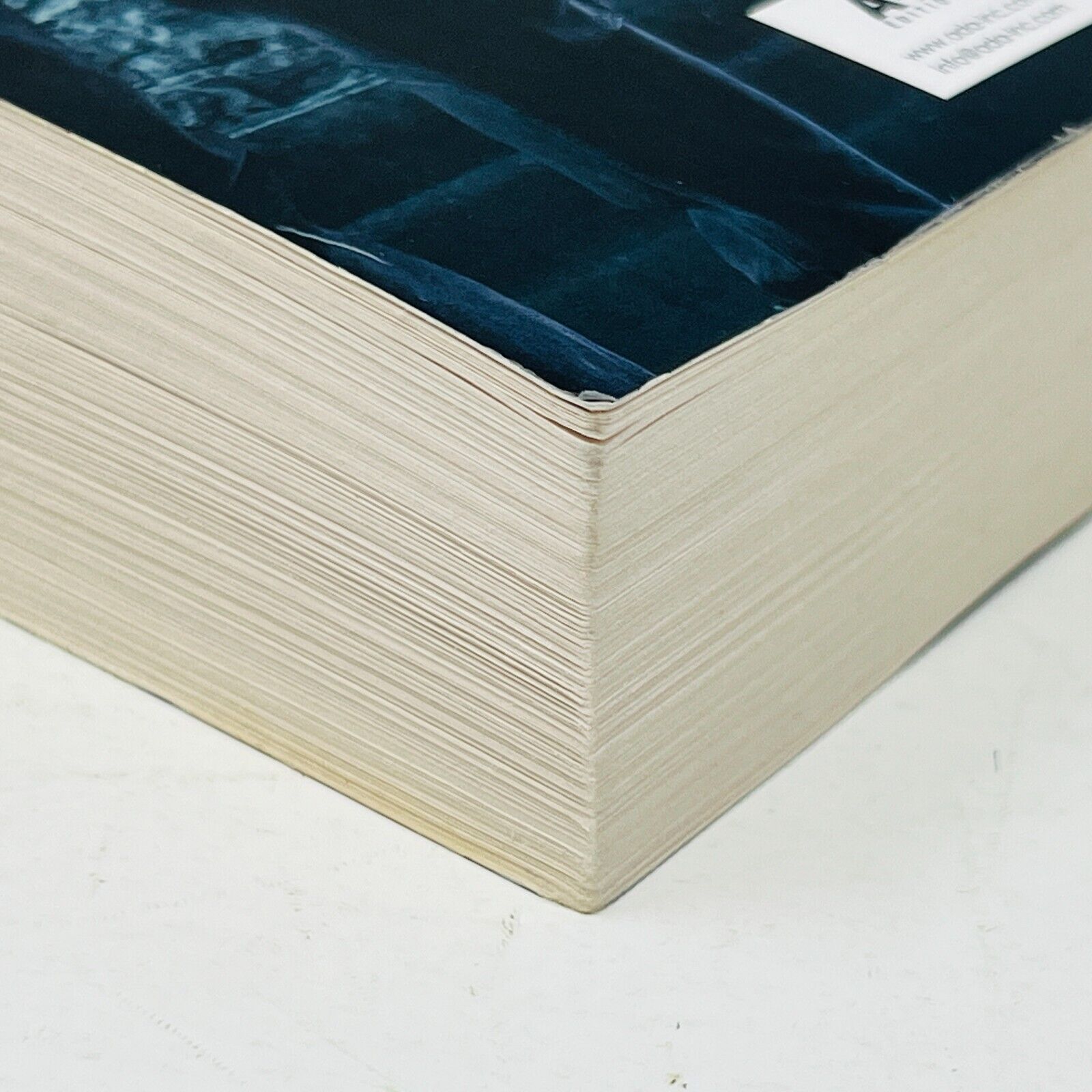 À l'Aube des Ténèbres Les Gardiens Immortels Tome 1 de Dianne Duval Français Ada