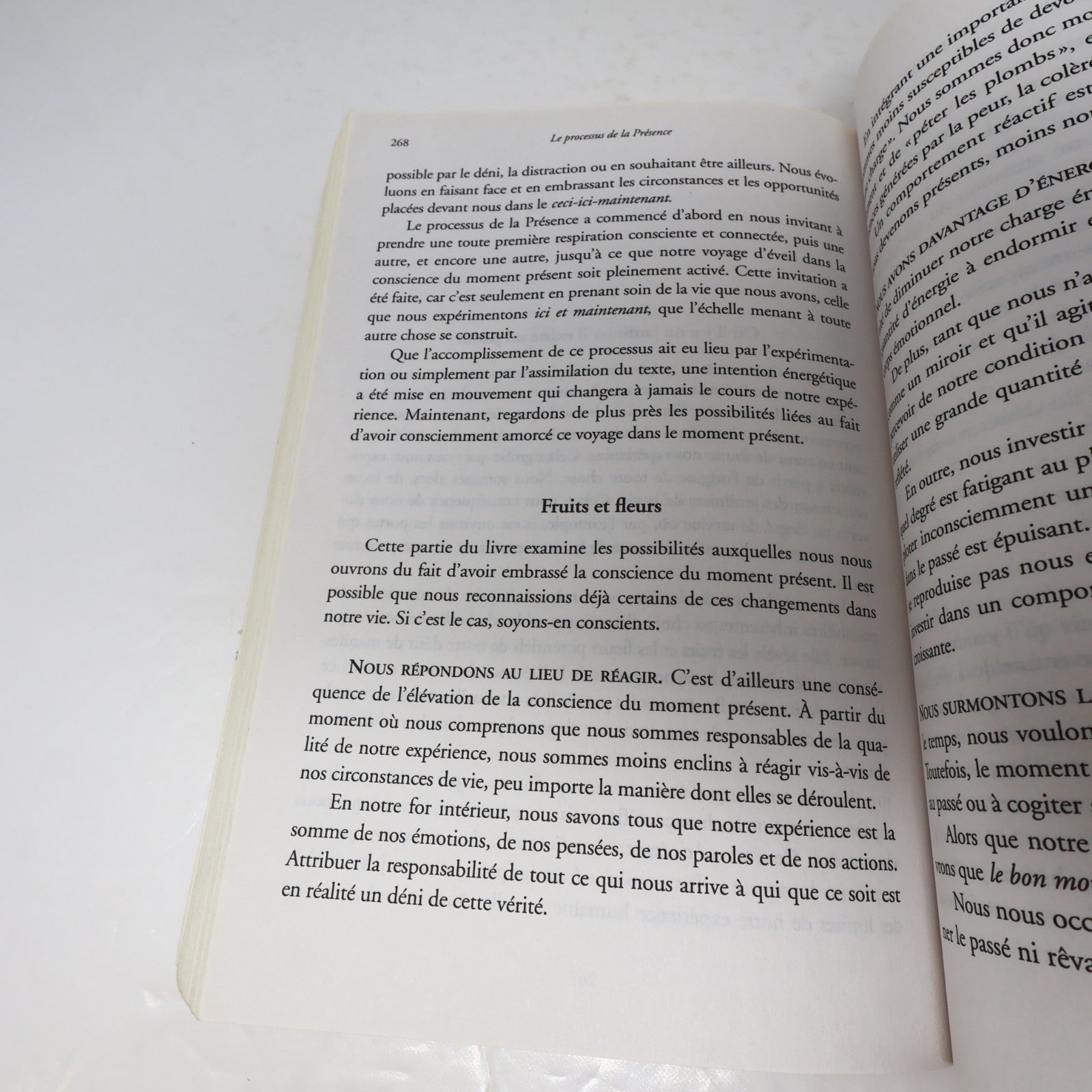 Le Processus de la Présence Michael Brown Ariane 2012 PB Français French Livre
