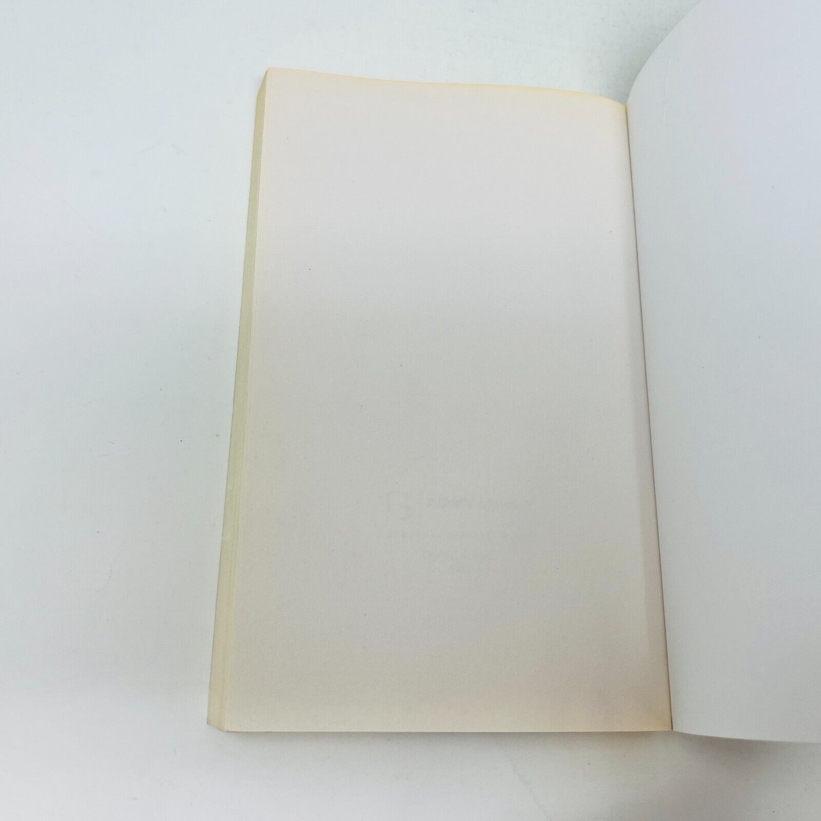 2004 Le Syndrome de l'Incube de Mireille Thibault Français Livre Louise Courteau