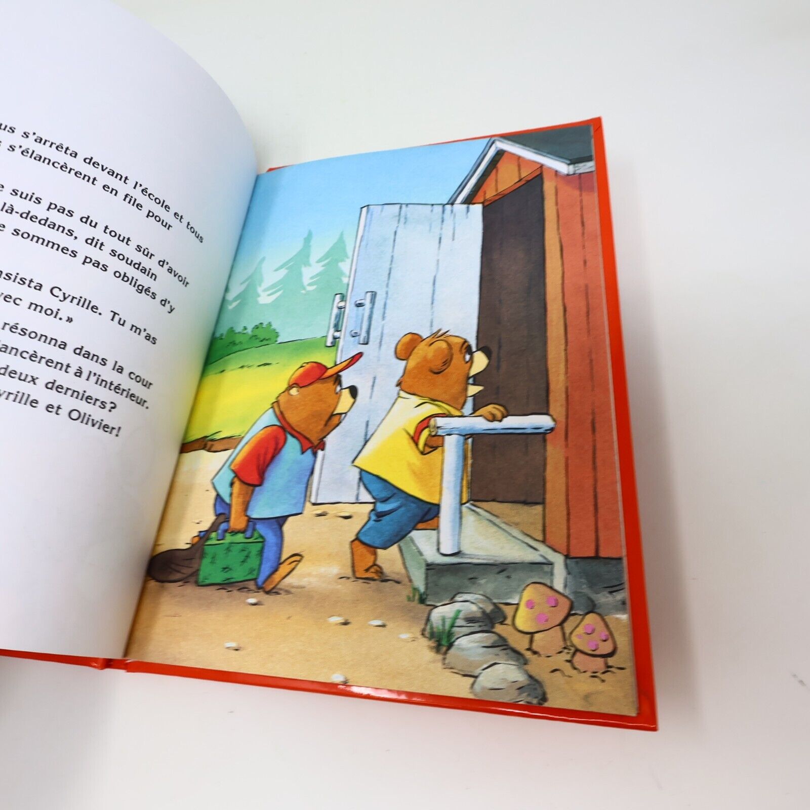 Série Complète Les Aventures de Cyrille Castor #1-27 Lot 27 Livres Kiki French