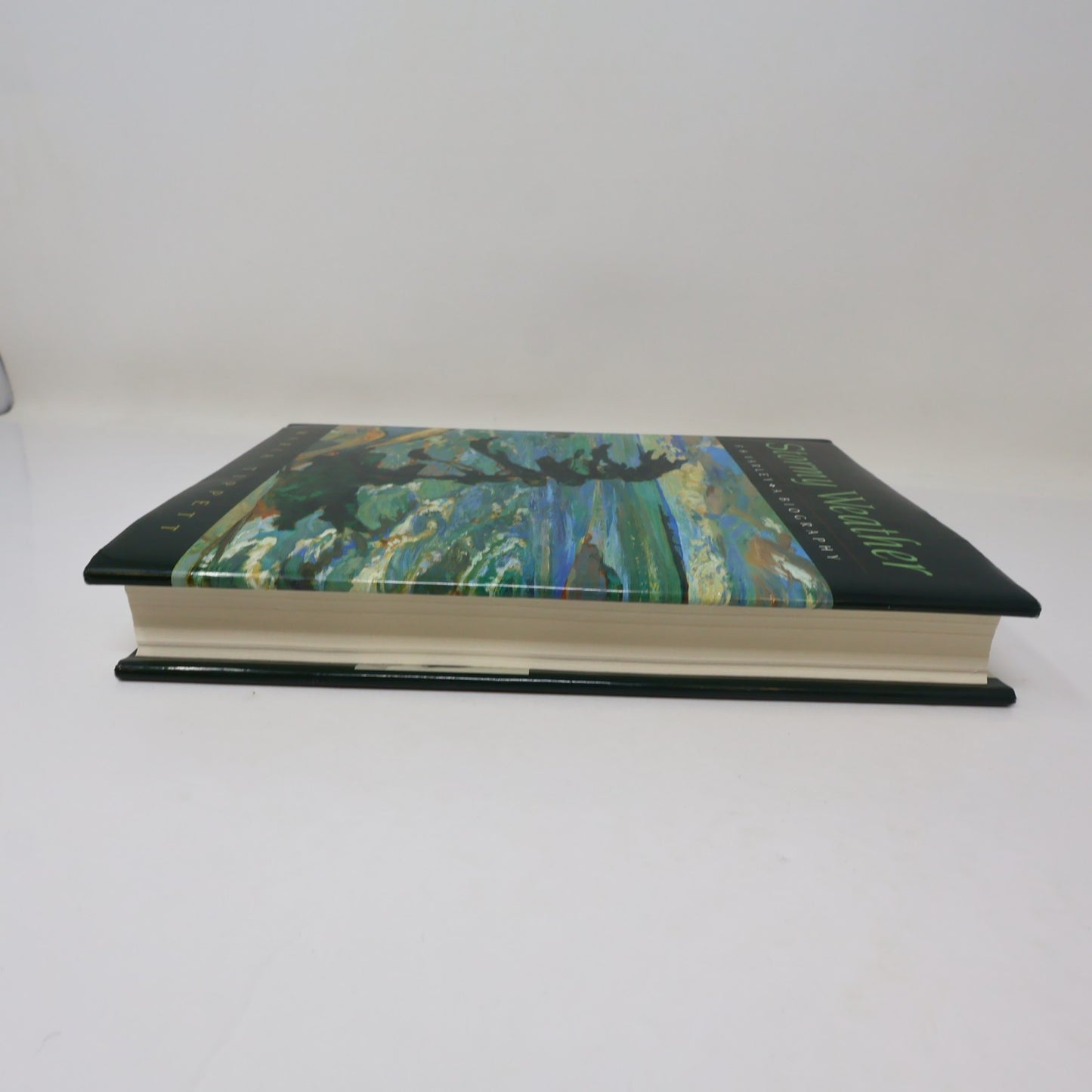 Stormy Weather F.H. Varley a Biography Maria Tippett Mcclelland & Stewart 1998