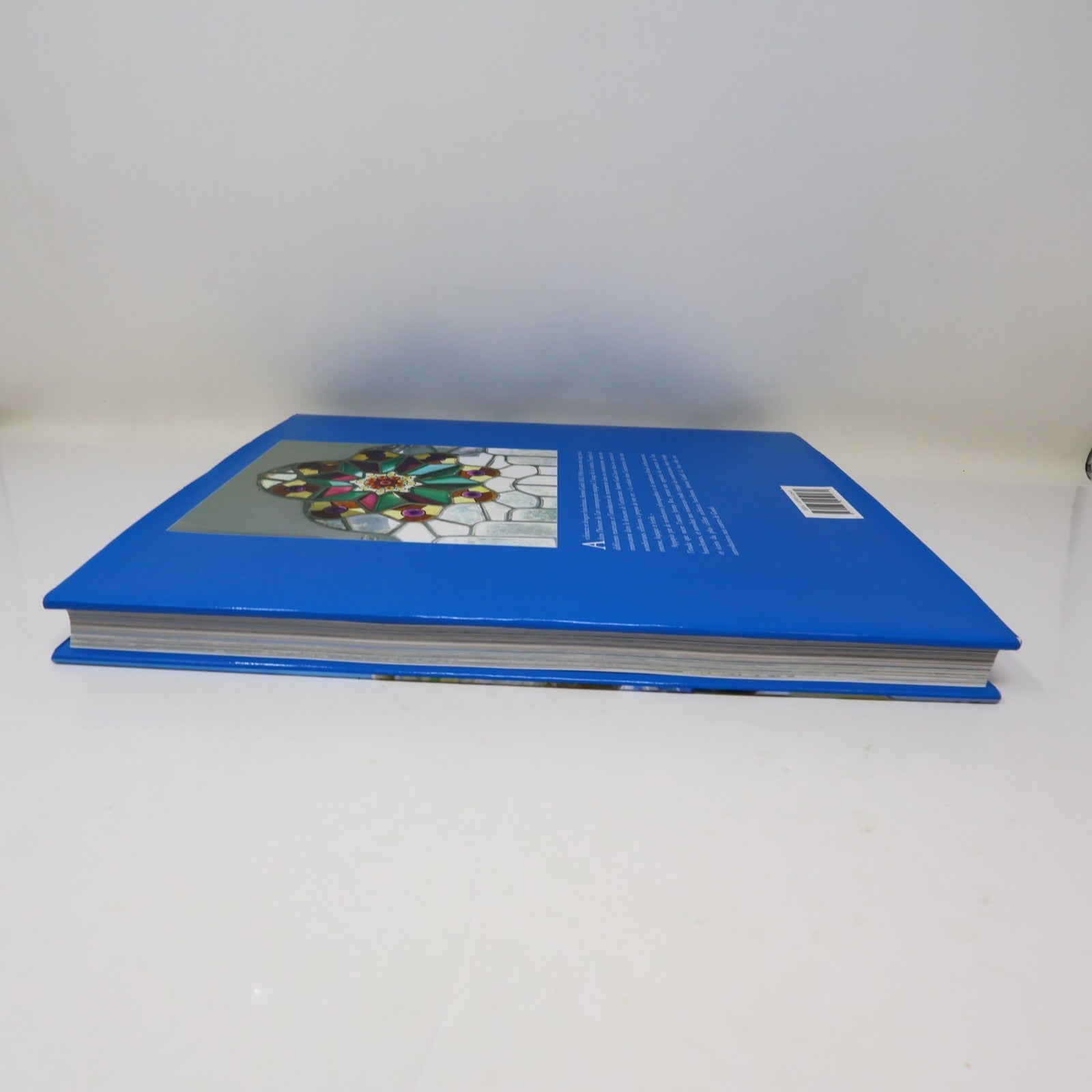 Gaudi Architecte et Artiste Jeremy Roe Parkstone 2006 HC DJ Français French Book