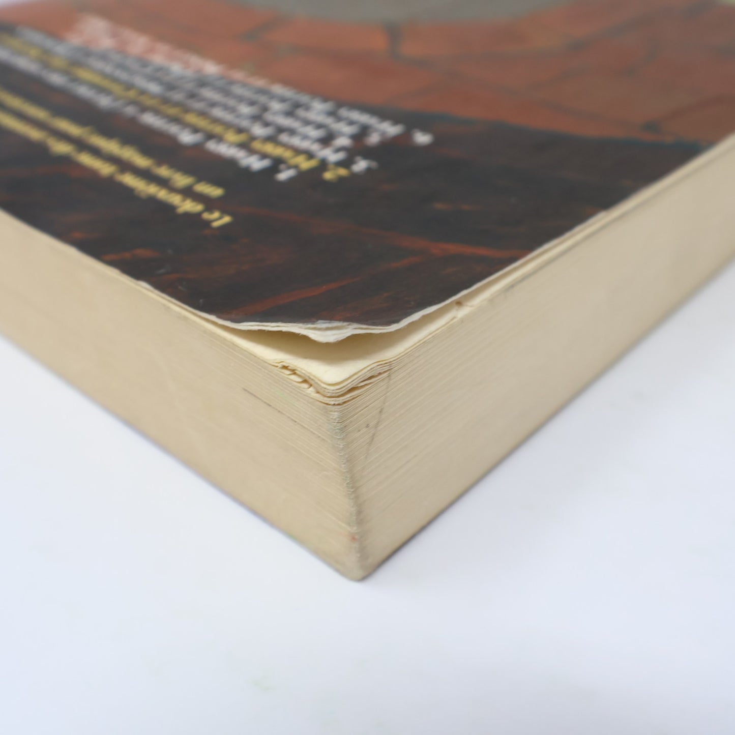 Harry Potter et la Chambre des Secrets Grand Format J.K. Rowling 2000 PB Livre