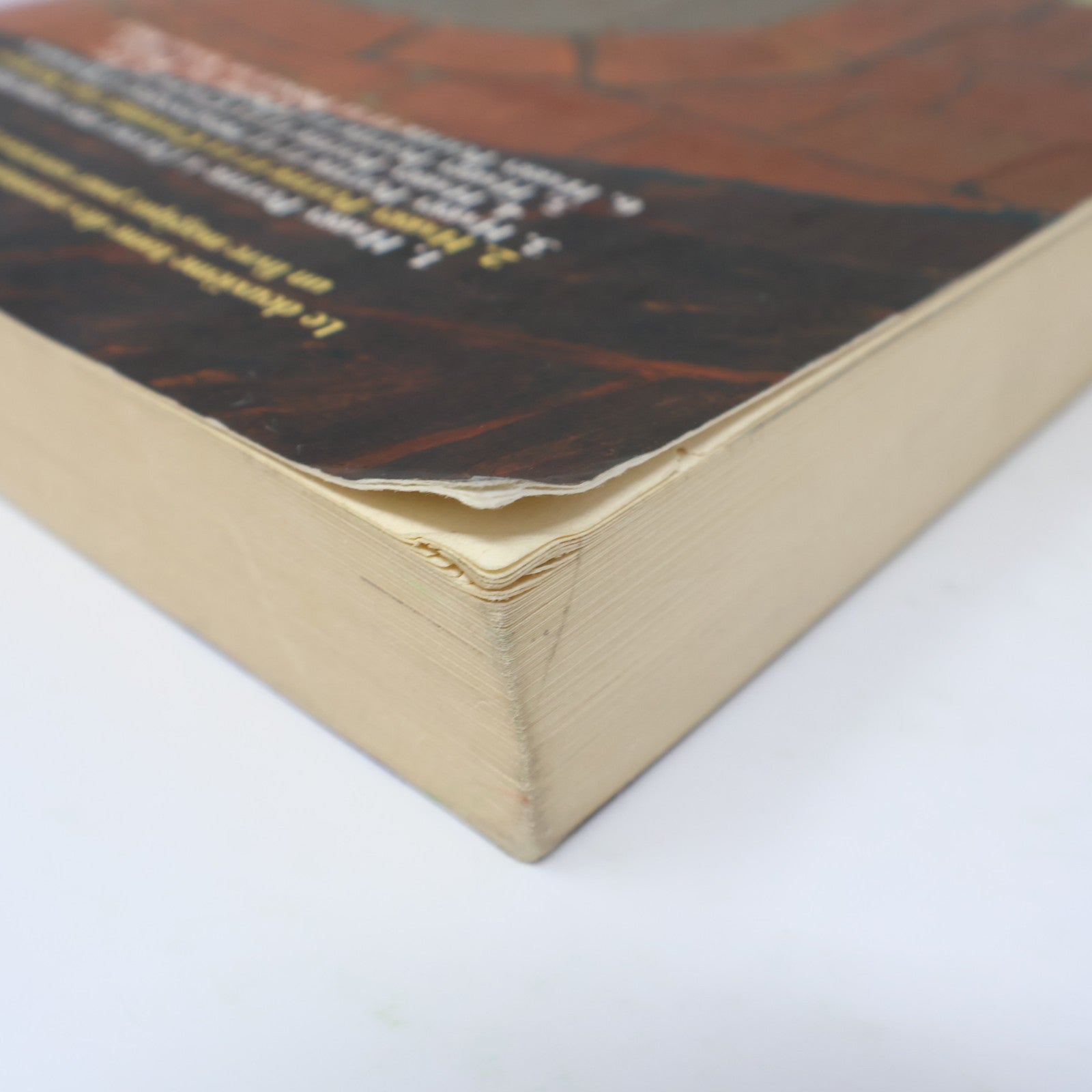 Harry Potter et la Chambre des Secrets Grand Format J.K. Rowling 2000 PB Livre