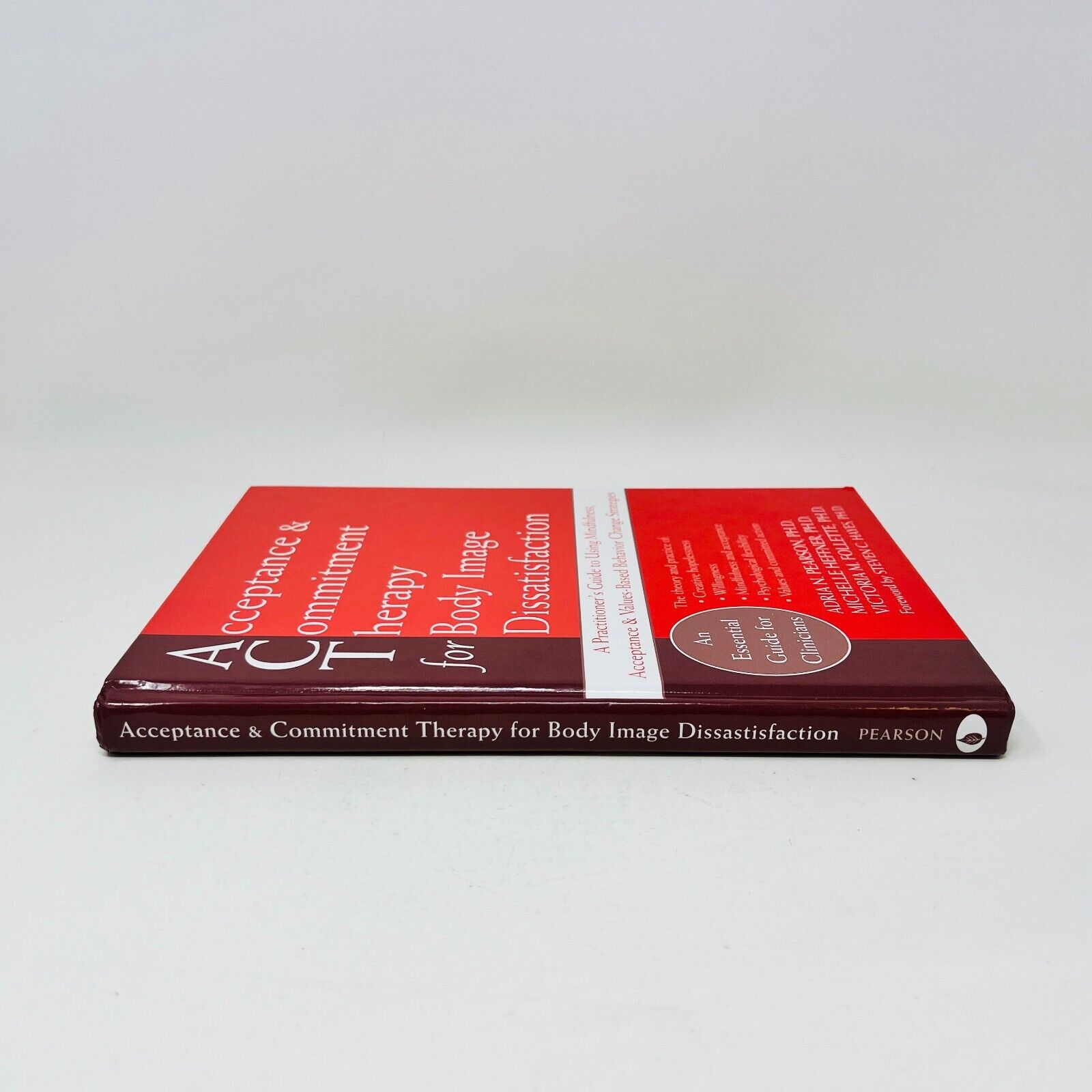 2010 Acceptance and Commitment Therapy for Body Image Dissatisfaction Hardcover