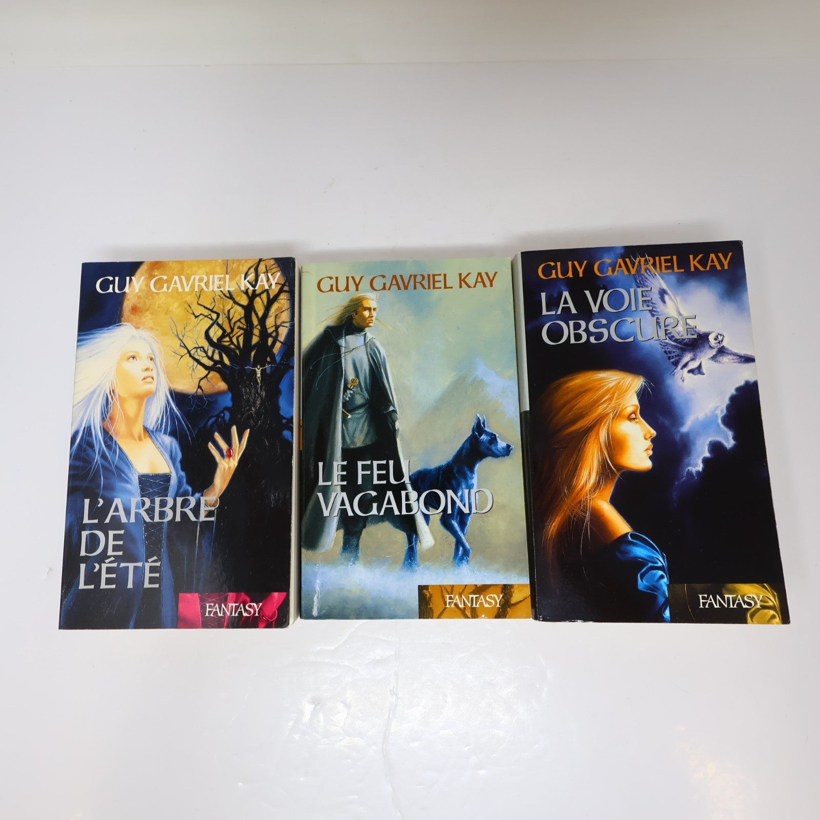 La Tapisserie de Fionavar #1-3 Série Complète Lot 3 Livres Guy Gavriel Kay PB