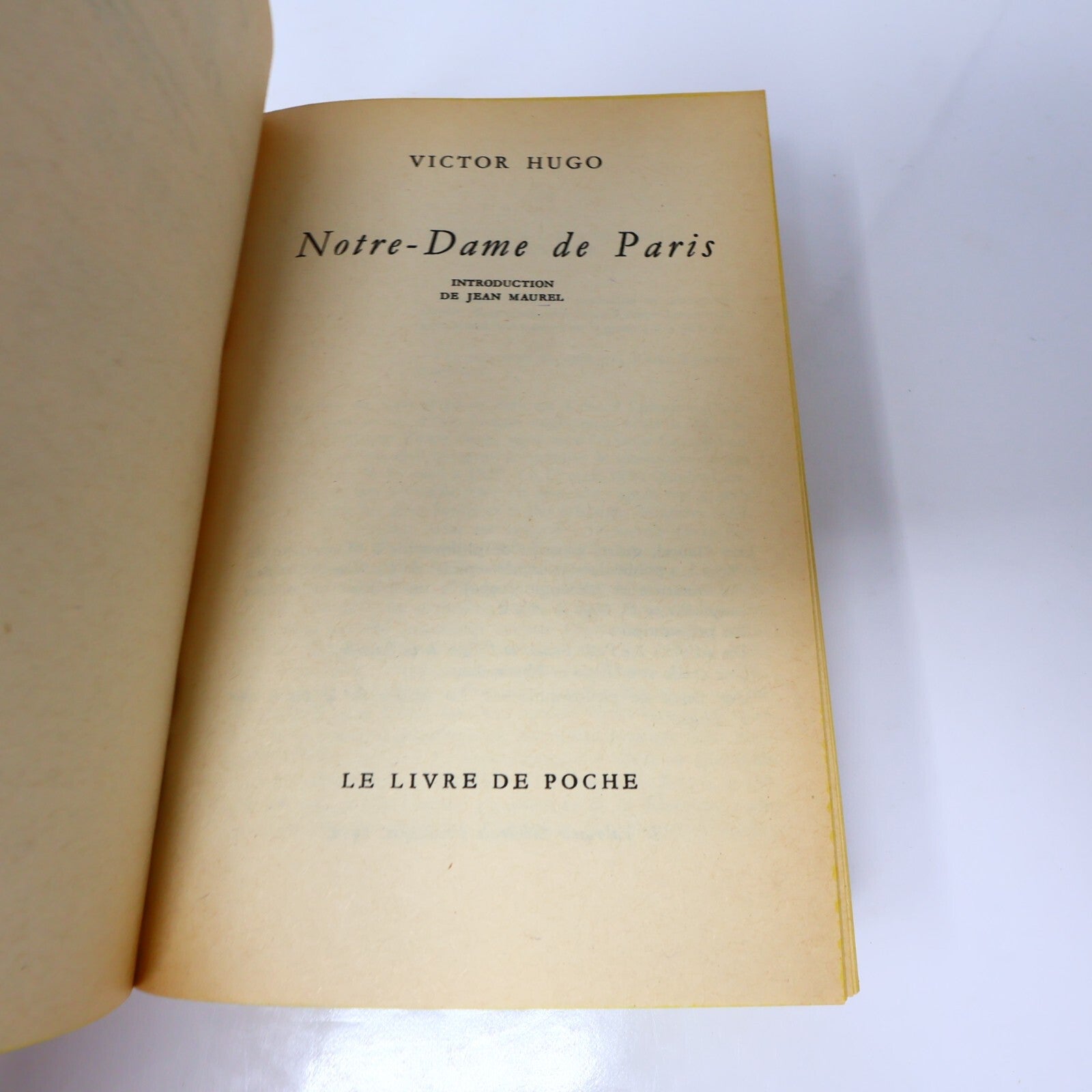 Victor Hugo Lot 5 Livres Les Misérables/Notre-Dame de Paris/Quatrevingt-Treize