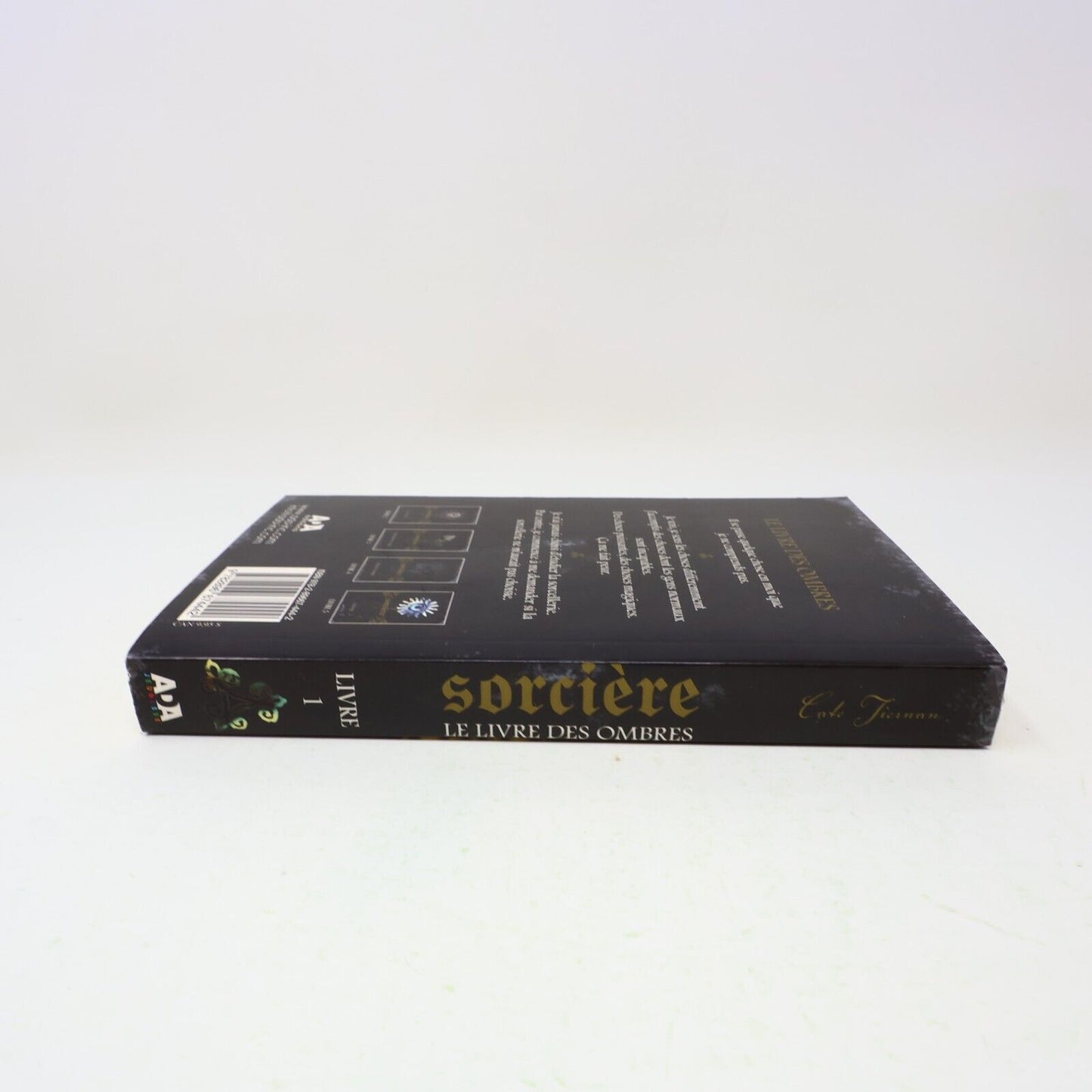 2010 Le Livre des Ombres Cate Tiernan Sorcière #1 Sweep Ada Français Paperback