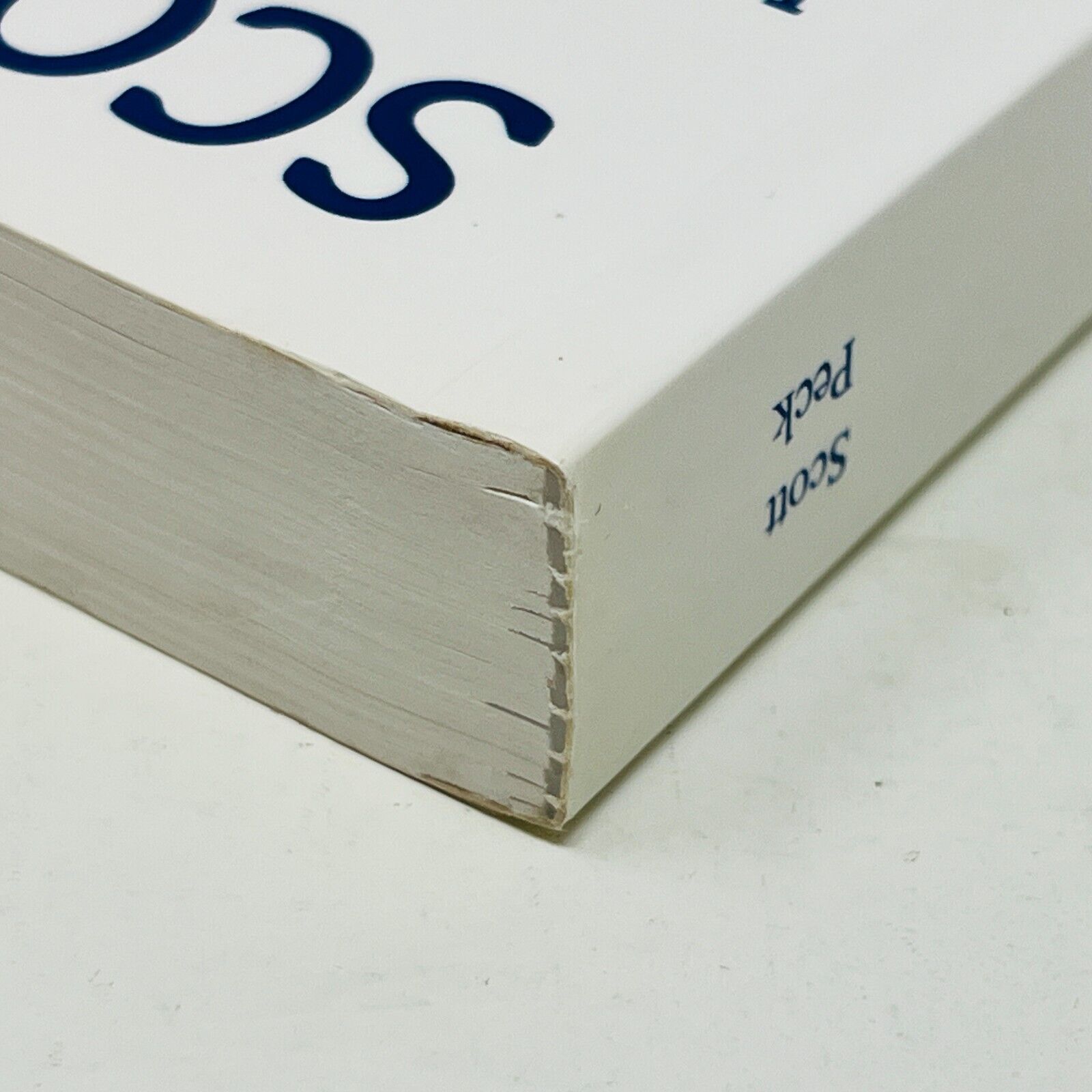 1993 La Route de l'Espoir de Scott Peck Dernière Chance de la Planète Français