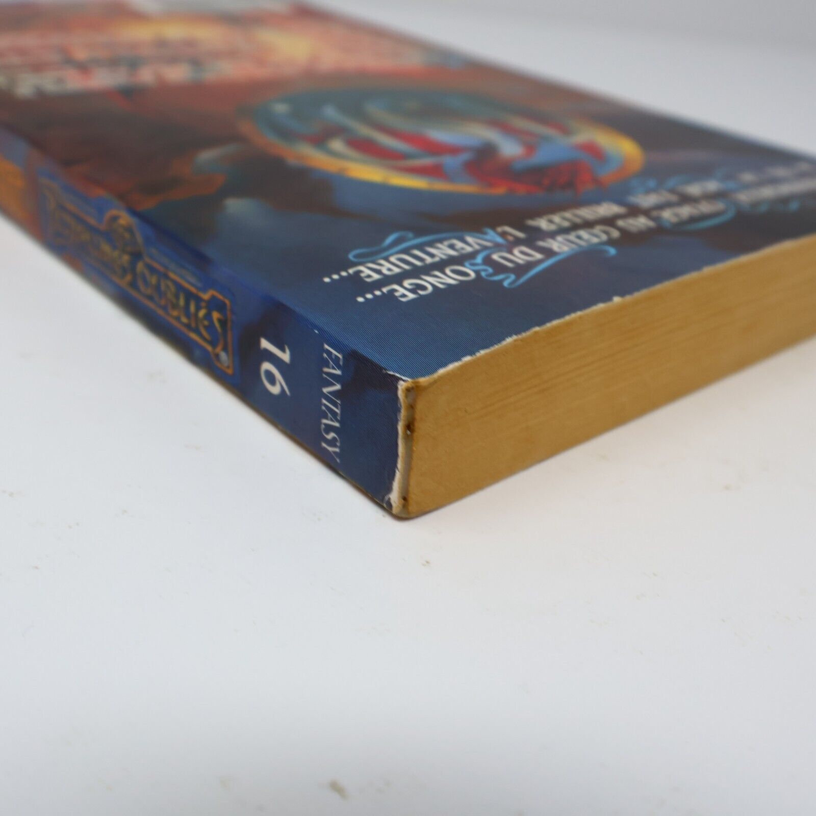 1996 Royaumes Oubliés #16 Les Torrents d'Argent La Trilogie du Val Bise Fantasy