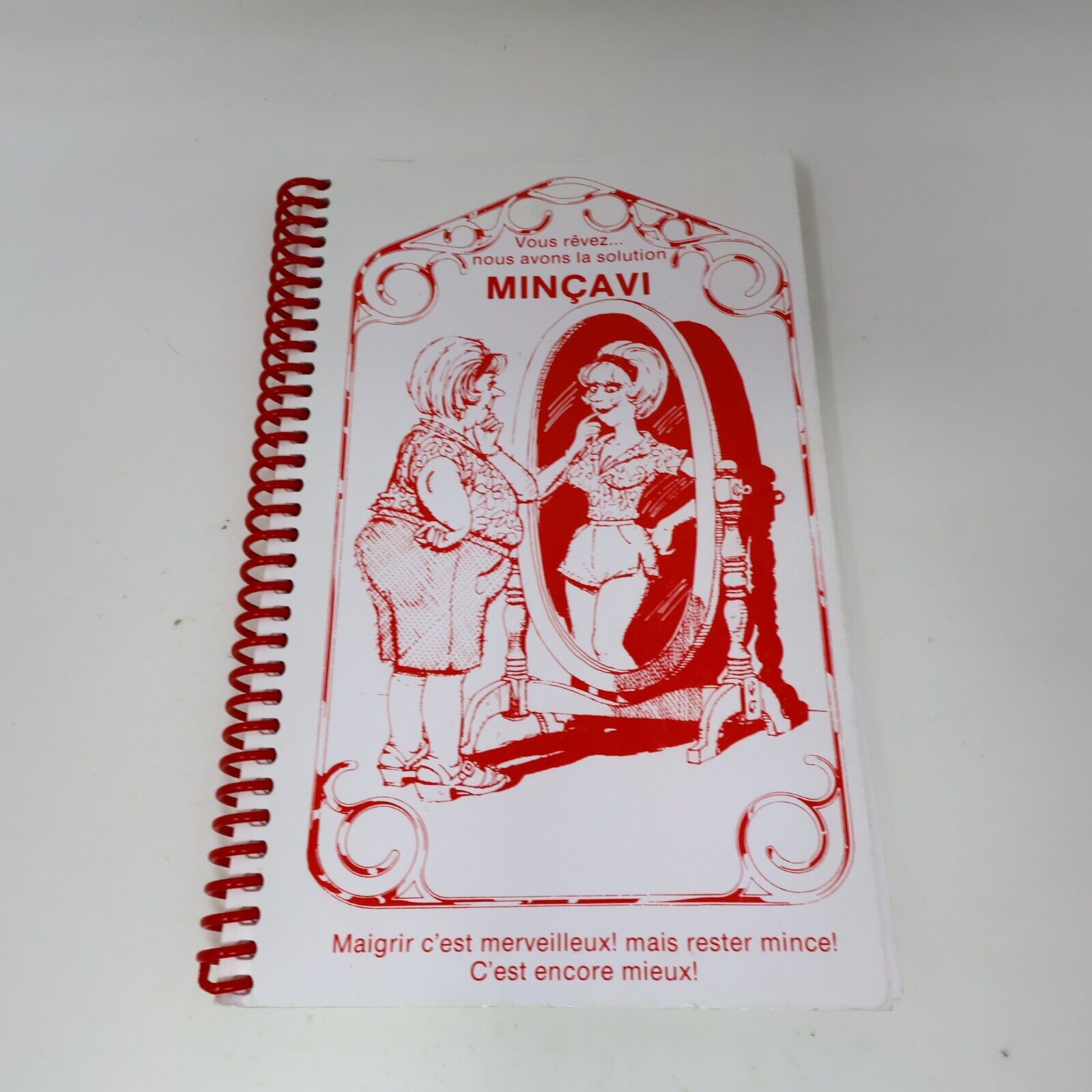 Lot 5 Livres Recettes Cuisine Minçavi #1-5 de Lyne Martineau Français 90s French