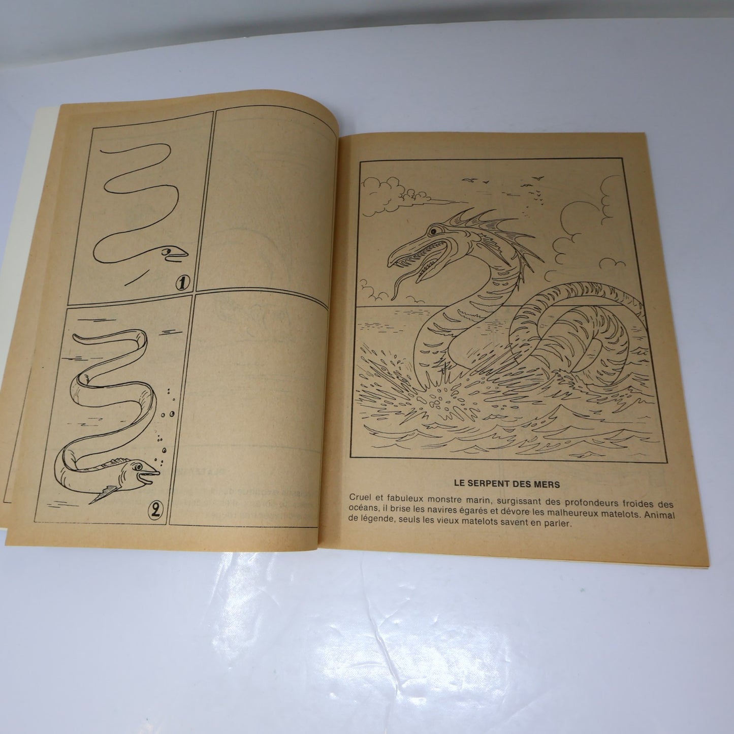 J'Apprends à Dessiner Lot 7 Livres à Colorier Québec Agenda Poissons/Espace 1984