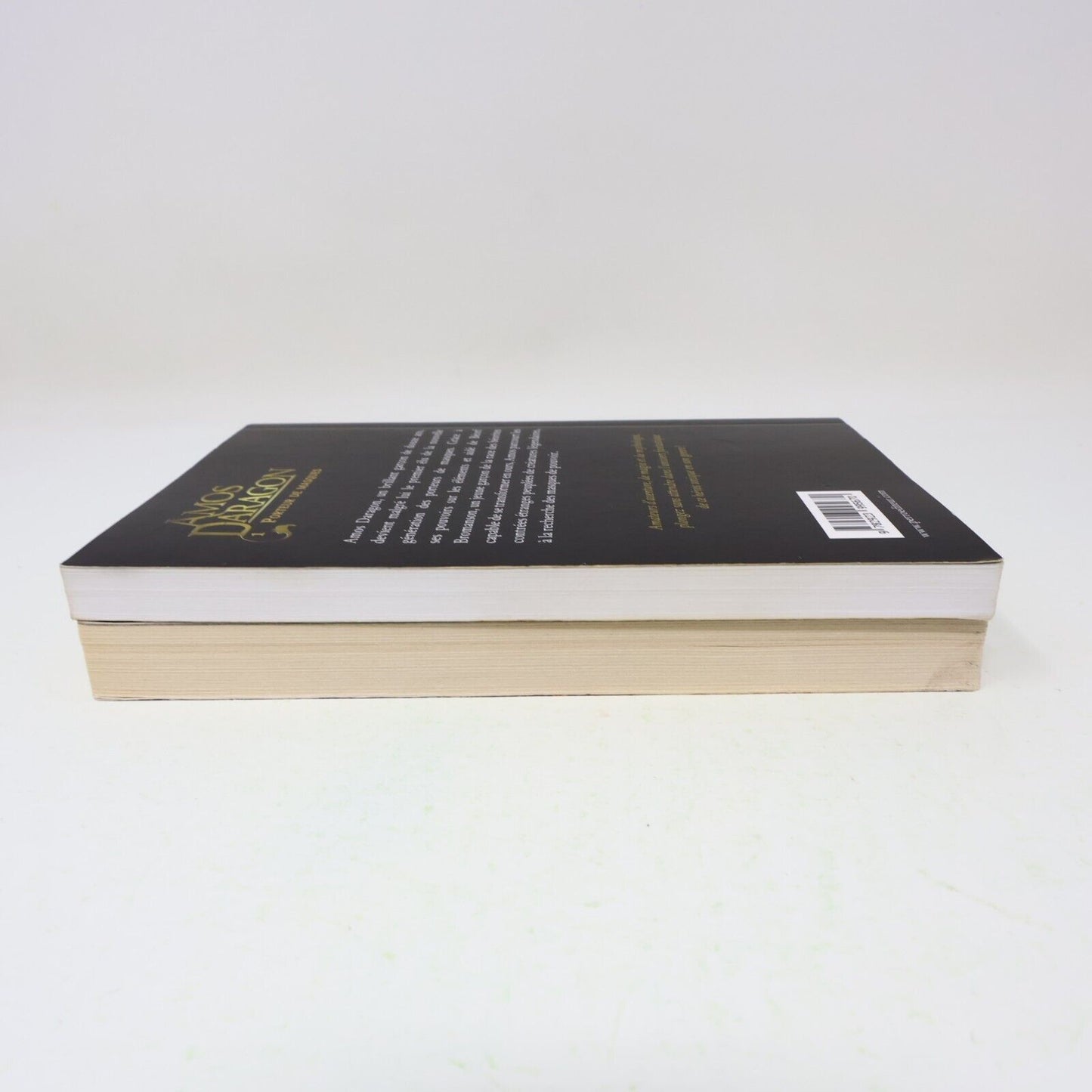 Lot 2 Livres Amos Daragon #1, 3 Bryan Perro Perro Éditeur Fantastique Français