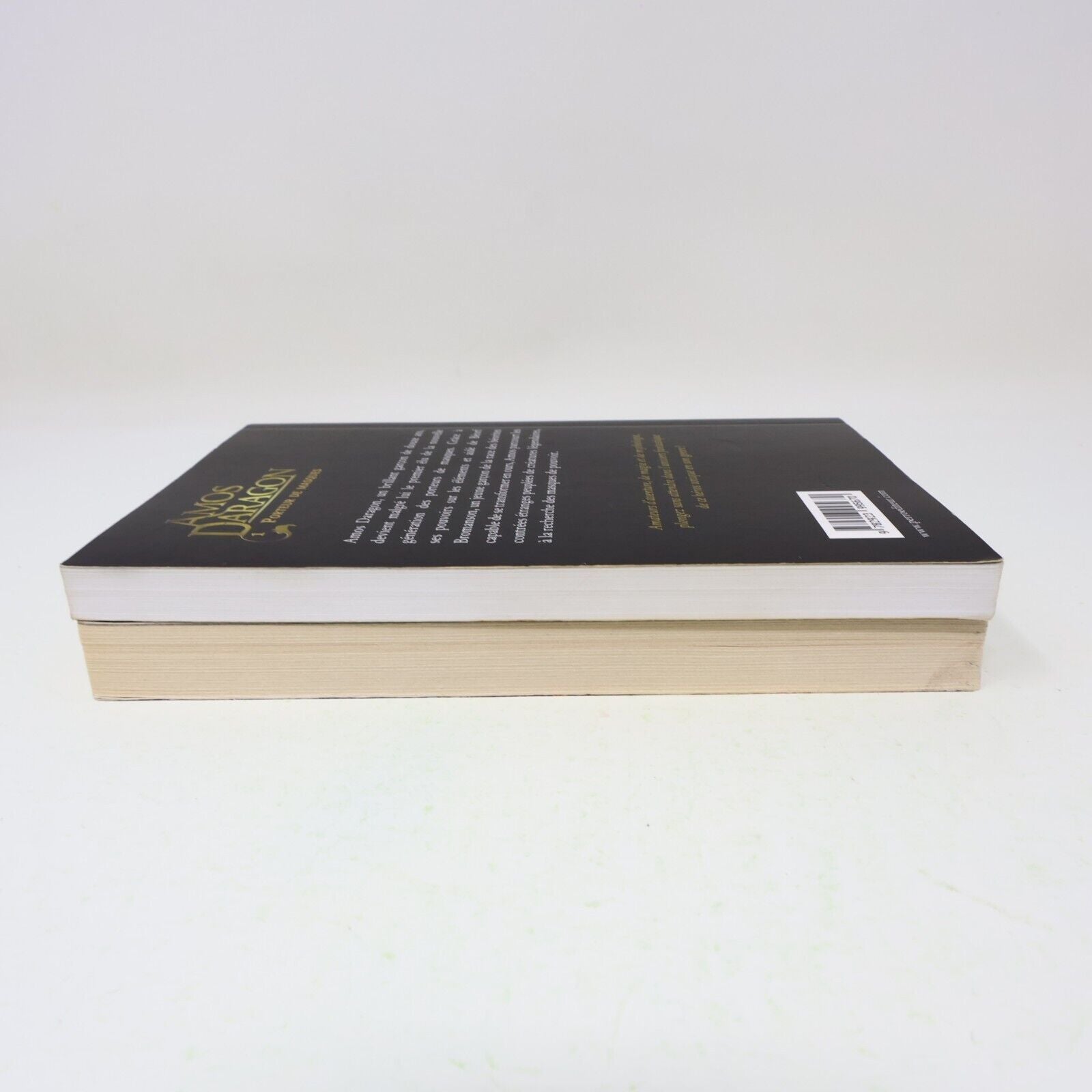 Lot 2 Livres Amos Daragon #1, 3 Bryan Perro Perro Éditeur Fantastique Français