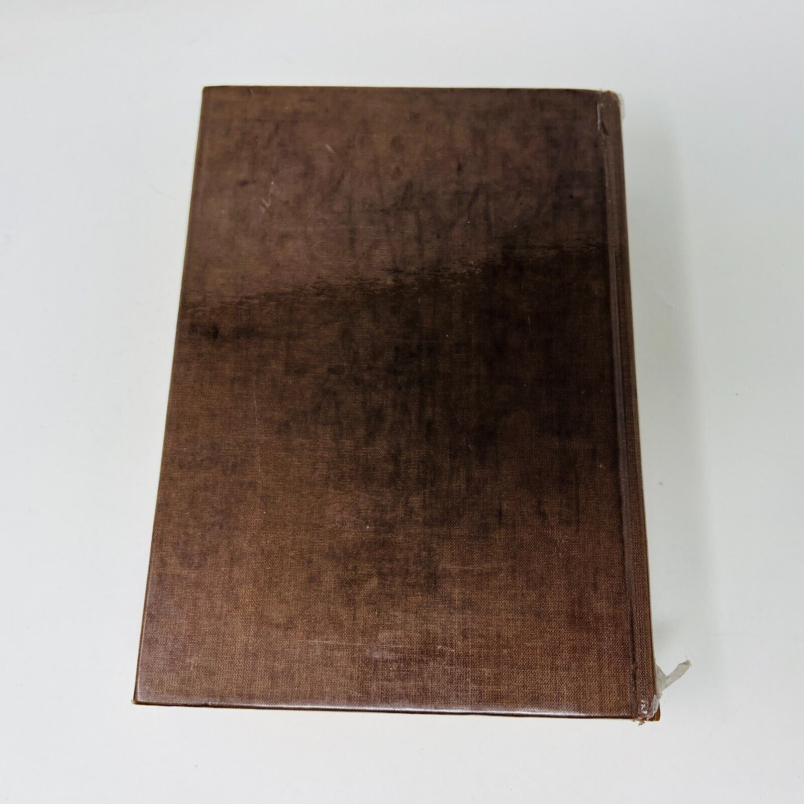 1981 La Bible de Pierre De Beaumont Éditions Anne Sigier Français French HC