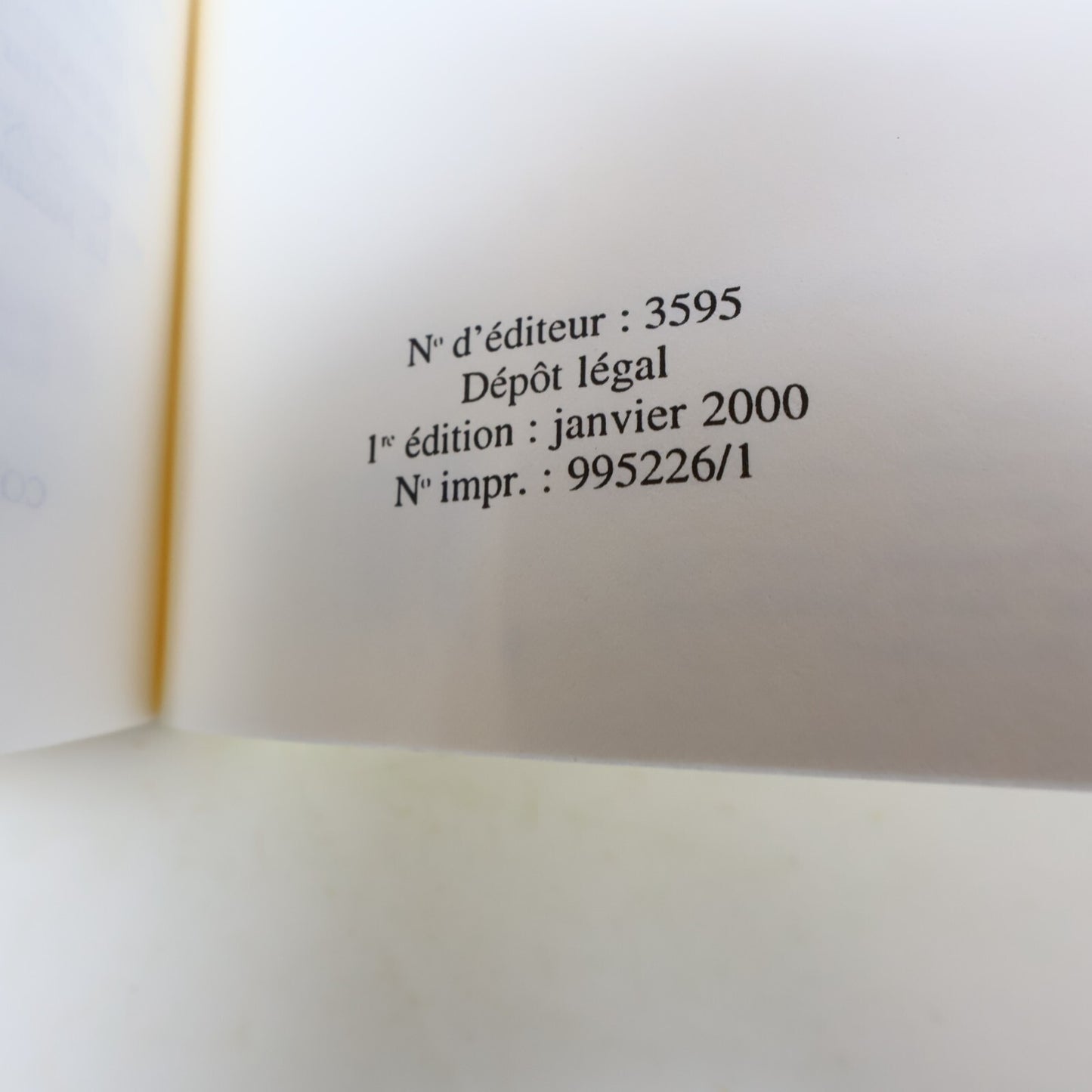 2000 Affliction Russell Banks Babel Littérature Américaine Roman États-Unis PB