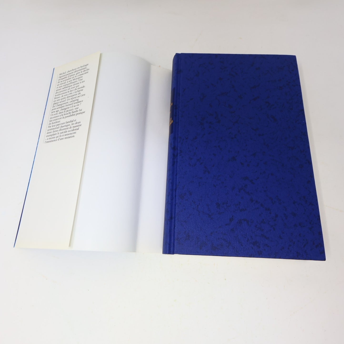 Michel Houellebecq Lot 2 Livres Les Particules Élémentaires/Plateforme Français