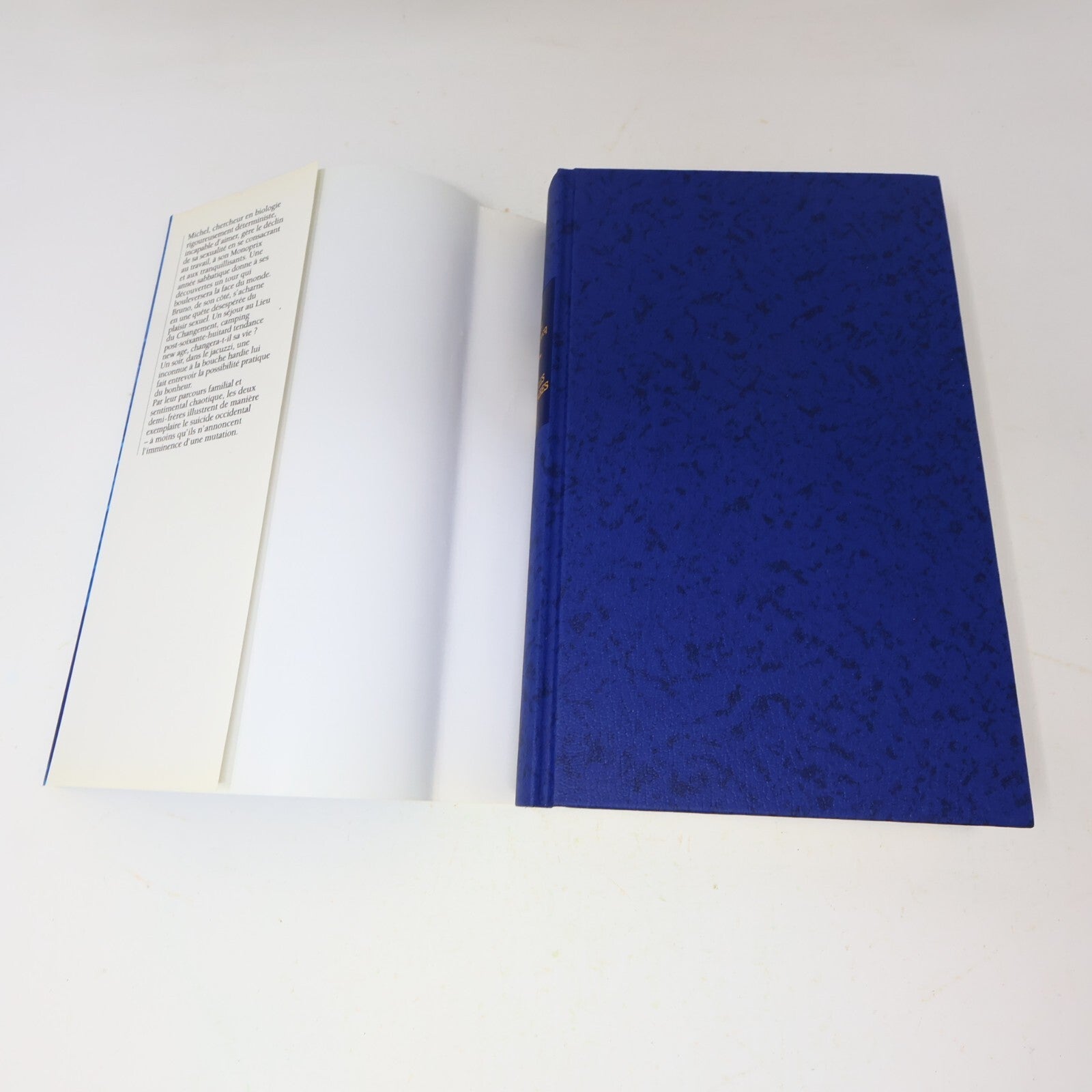 Michel Houellebecq Lot 2 Livres Les Particules Élémentaires/Plateforme Français