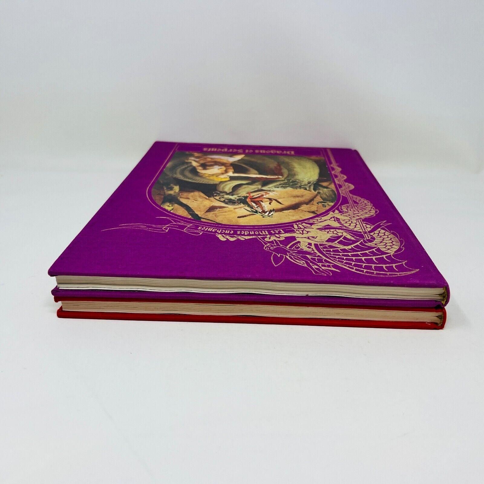 Dragons et Serpents/Sorcières Magiciens Lot Mondes Enchantés Time Life Français