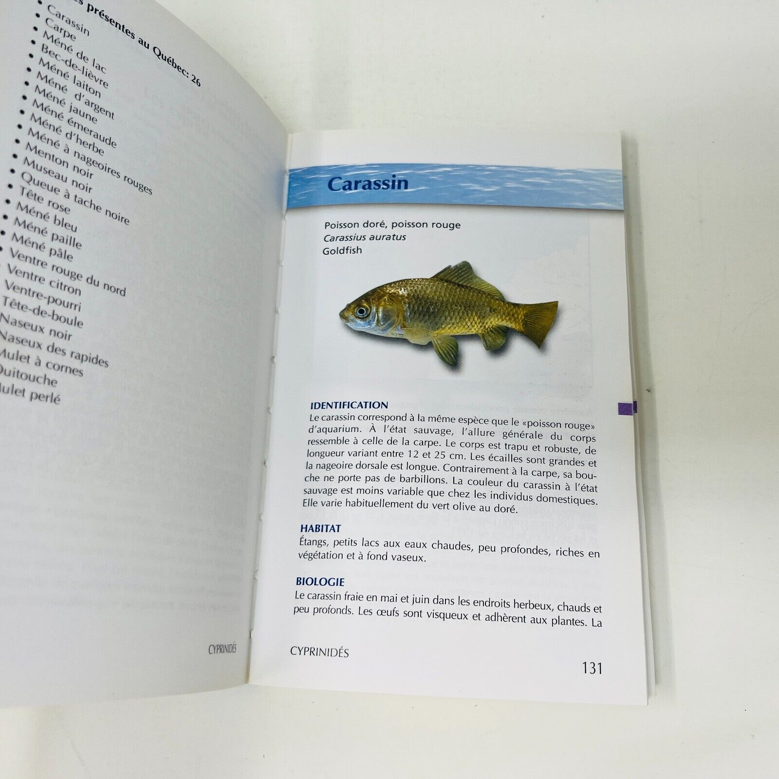 2005 Les Poissons d'Eau Douce du Québec Broquet de Louis Bernatchez/Marie Giroux