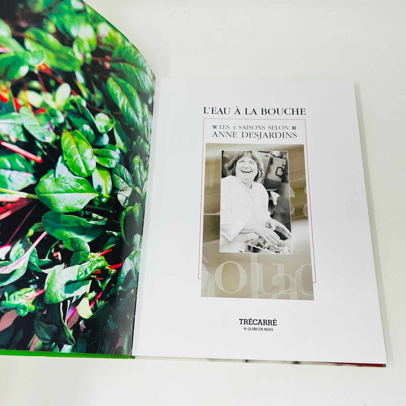2003 L'Eau à la Bouche les 4 Saisons selon Anne Desjardins Recettes Cuisine PB