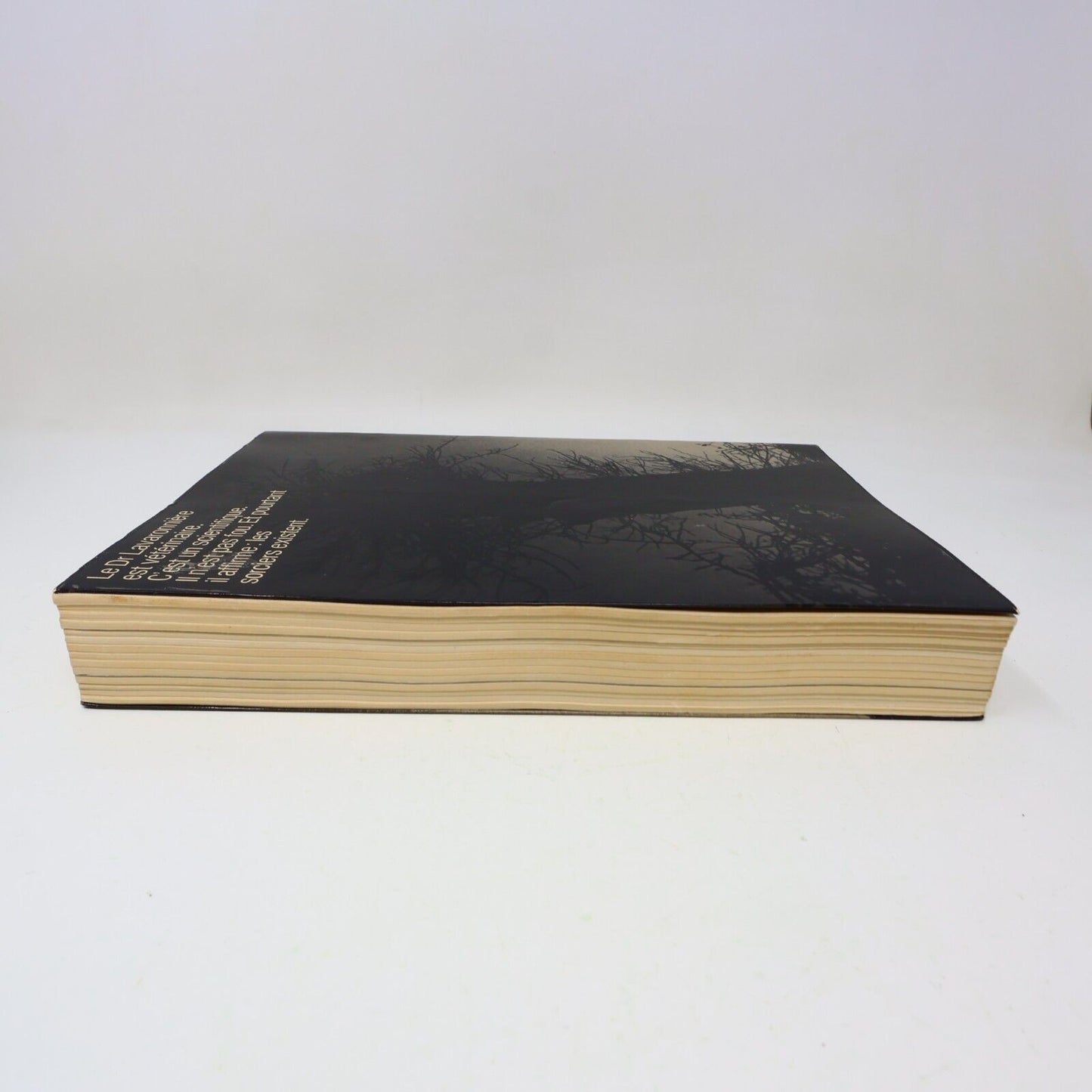 1973 L'Oeil du Sorcier Philippe Alfonsi Patrick Pesnot Ésotérisme Robert Laffont