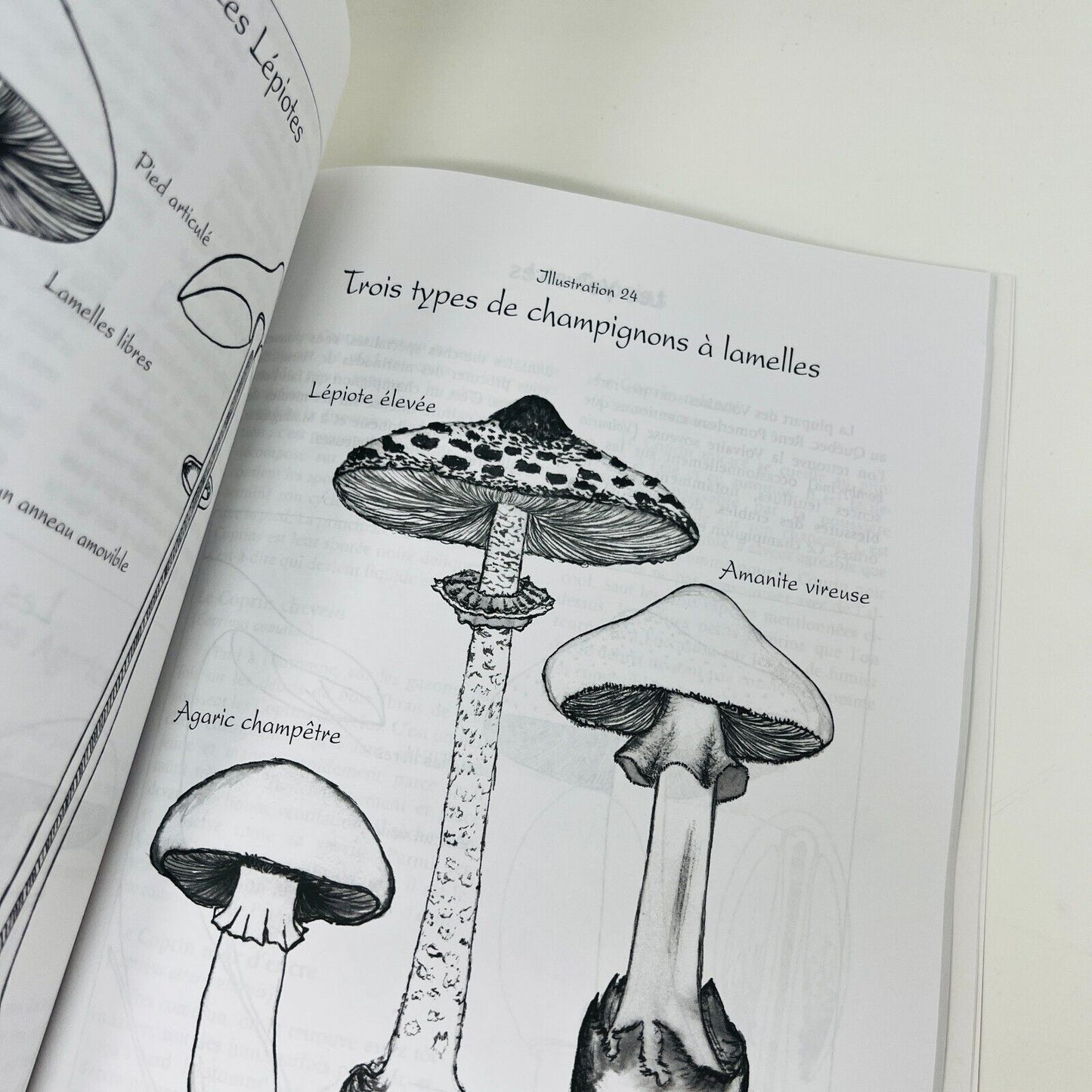 Il Était une Fois des Champignons Sauvages Identifier/Apprêter de Guylaine Duval