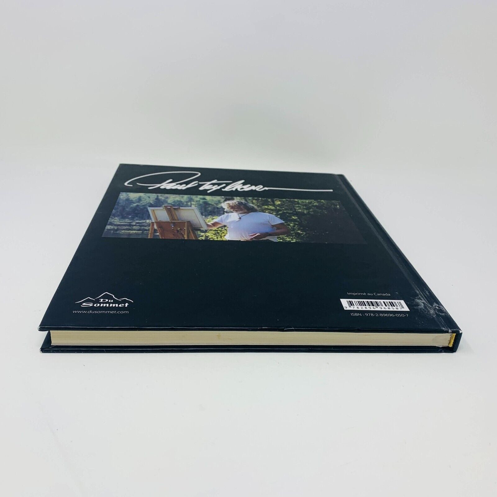 2013 Paul Tex Lecor Mon Monde Pour Vous Français/Anglais Livre sur Peintures Art