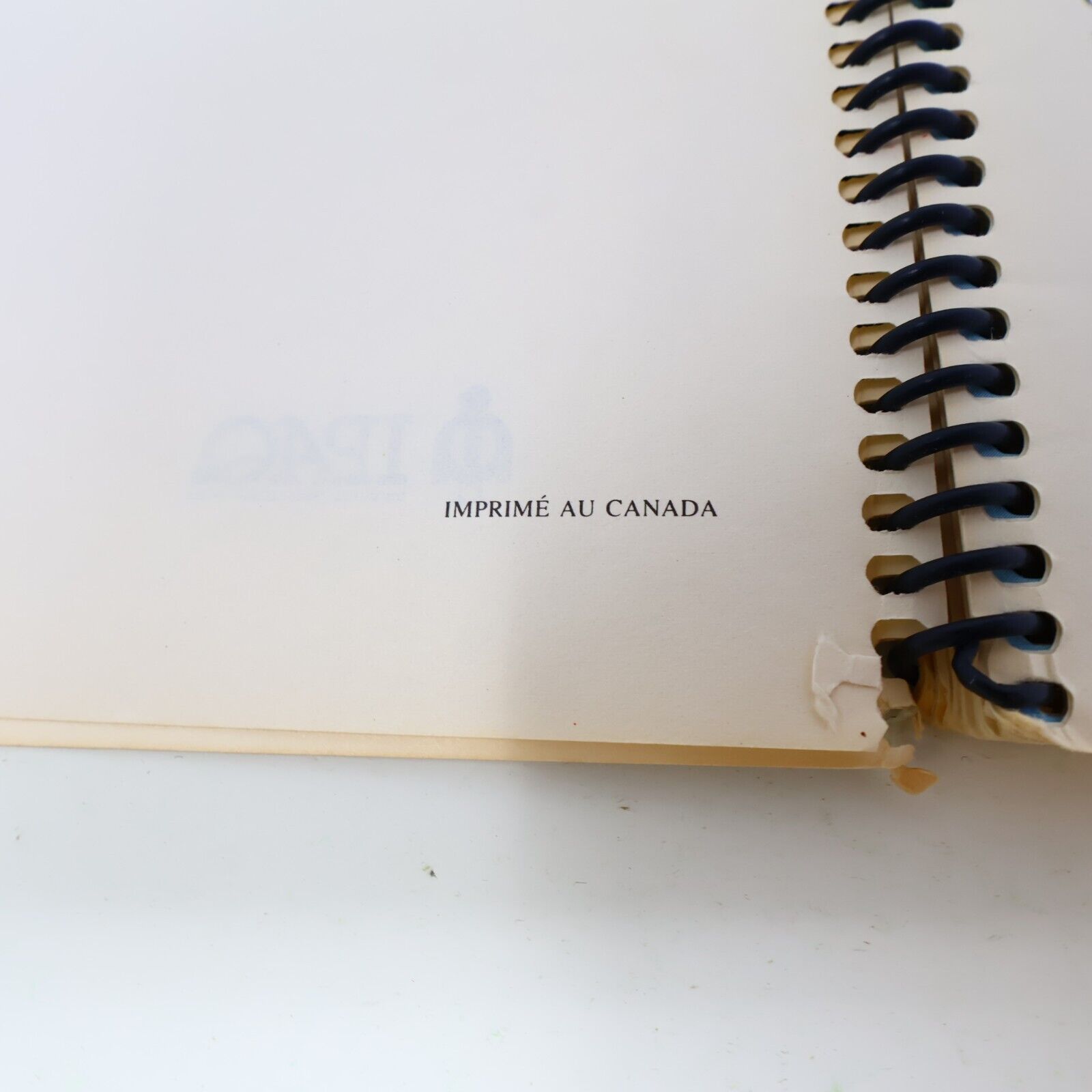 1989 S'Appivoiser aux Oiseaux Suzanne Brûlotte Susy le Brun La Collection Plume