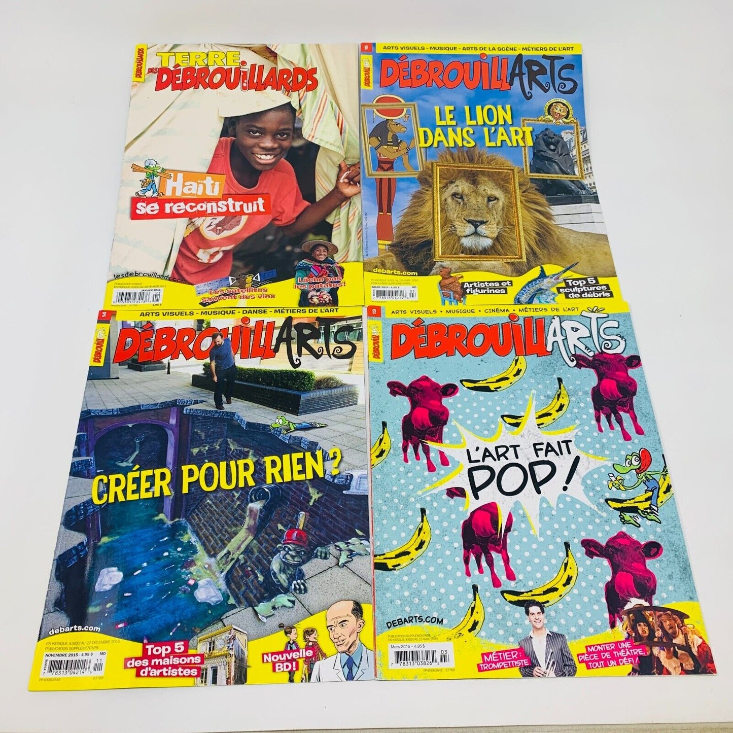 Lot de 9 Magazines Les DébrouillArts & Terre des Débrouillards Enfants Français