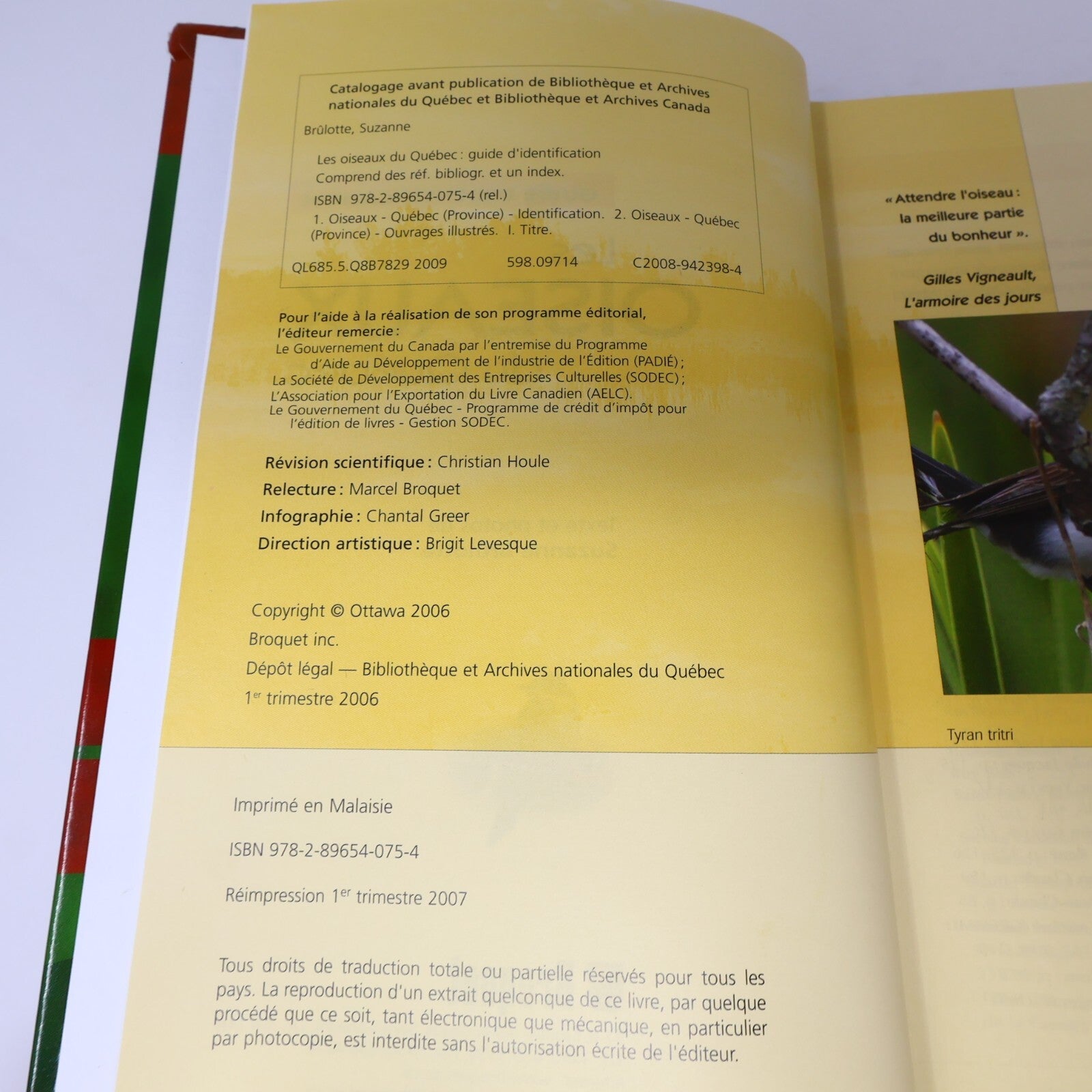 Suzanne Brûlotte Lot 3 Livres Les Oiseaux du Québec Guide d'Identification Books