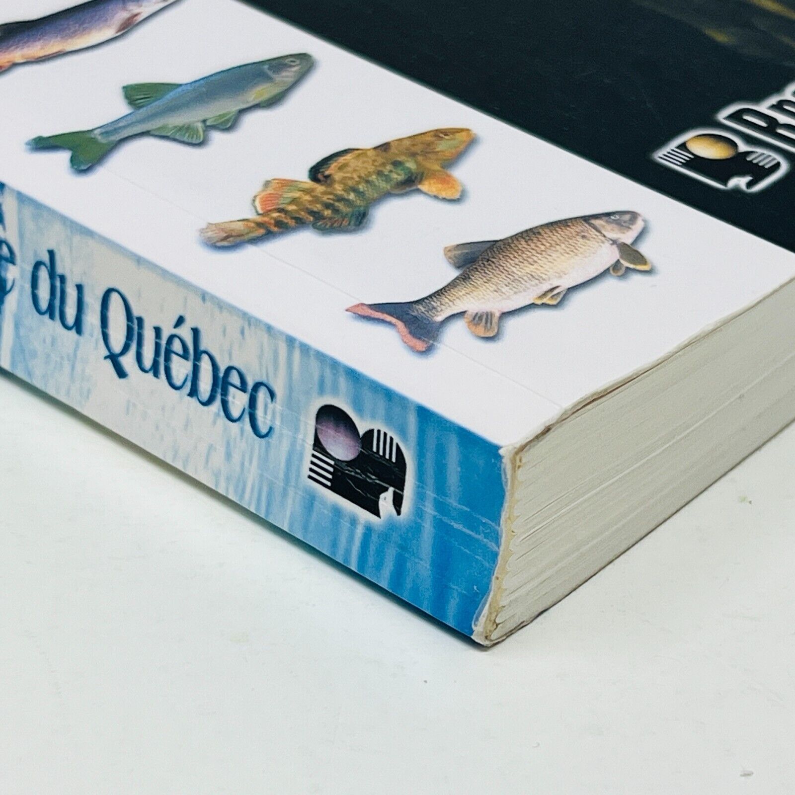 2005 Les Poissons d'Eau Douce du Québec Broquet de Louis Bernatchez/Marie Giroux