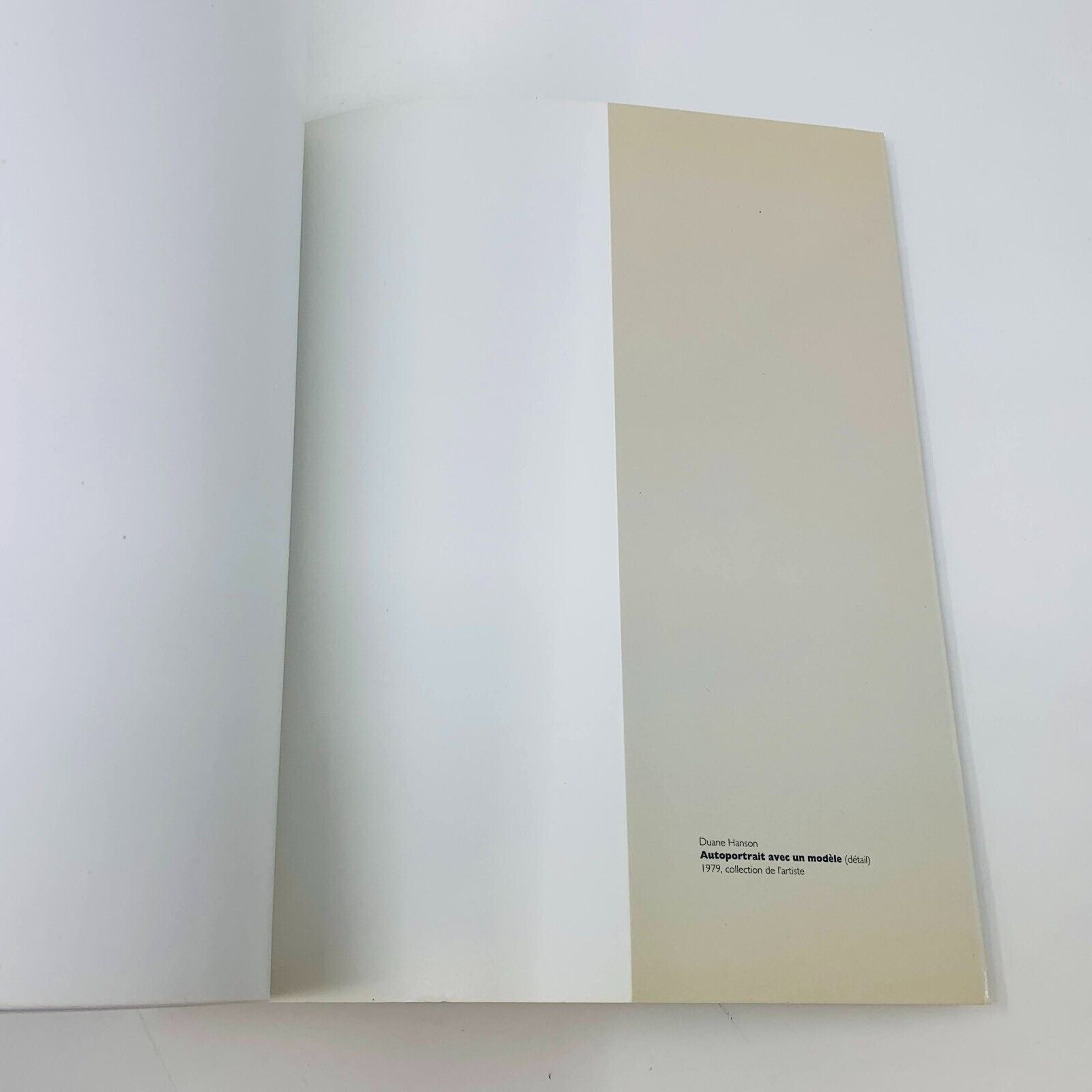 1994 Duane Hanson Musée des Beaux-Arts de Montréal Français Livre Sculptures 