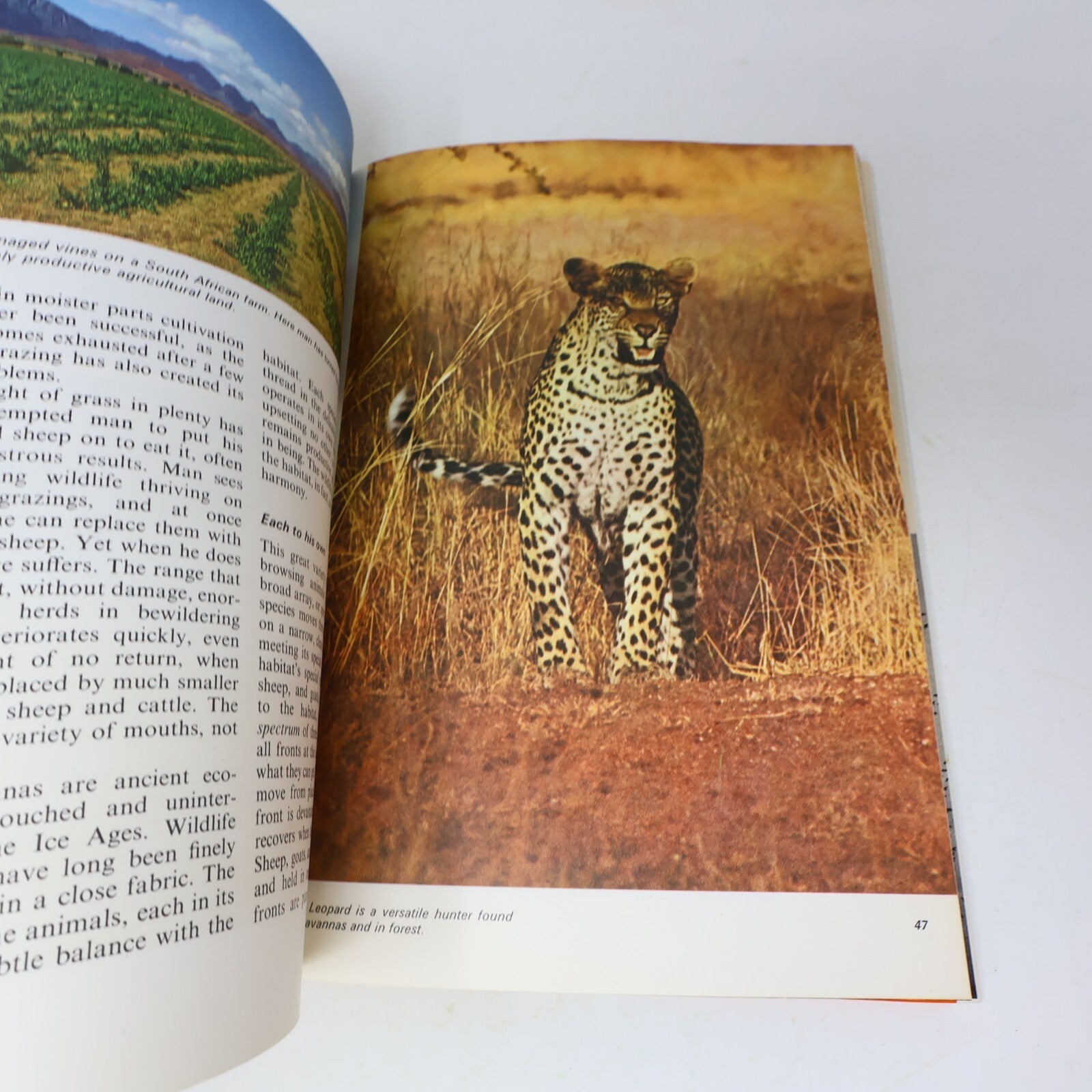 1969 Nature's Way David Stephen James Lockie Collins Animals 1st Edition Book HC