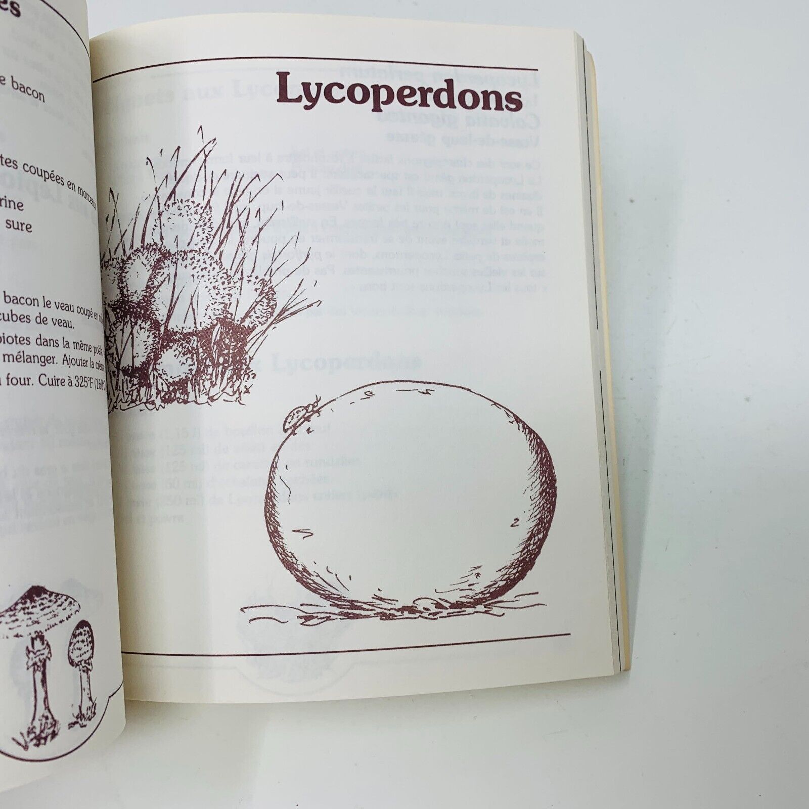 1978 Comment Apprêter les Champignons Sauvages Recettes Tante Cécile Bordeleau
