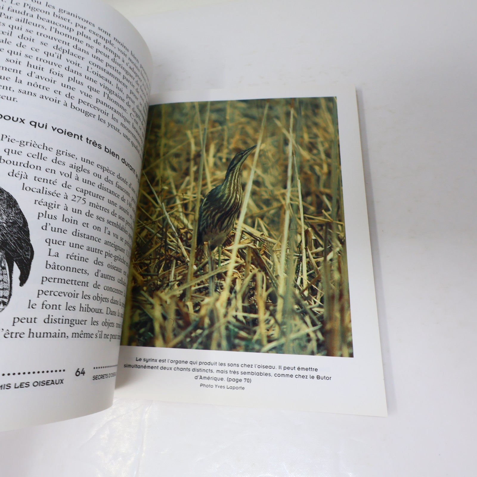 Secrets d'Oiseaux Pierre Gingras Nos Amis les Oiseaux Le Jour 1995 PB Français