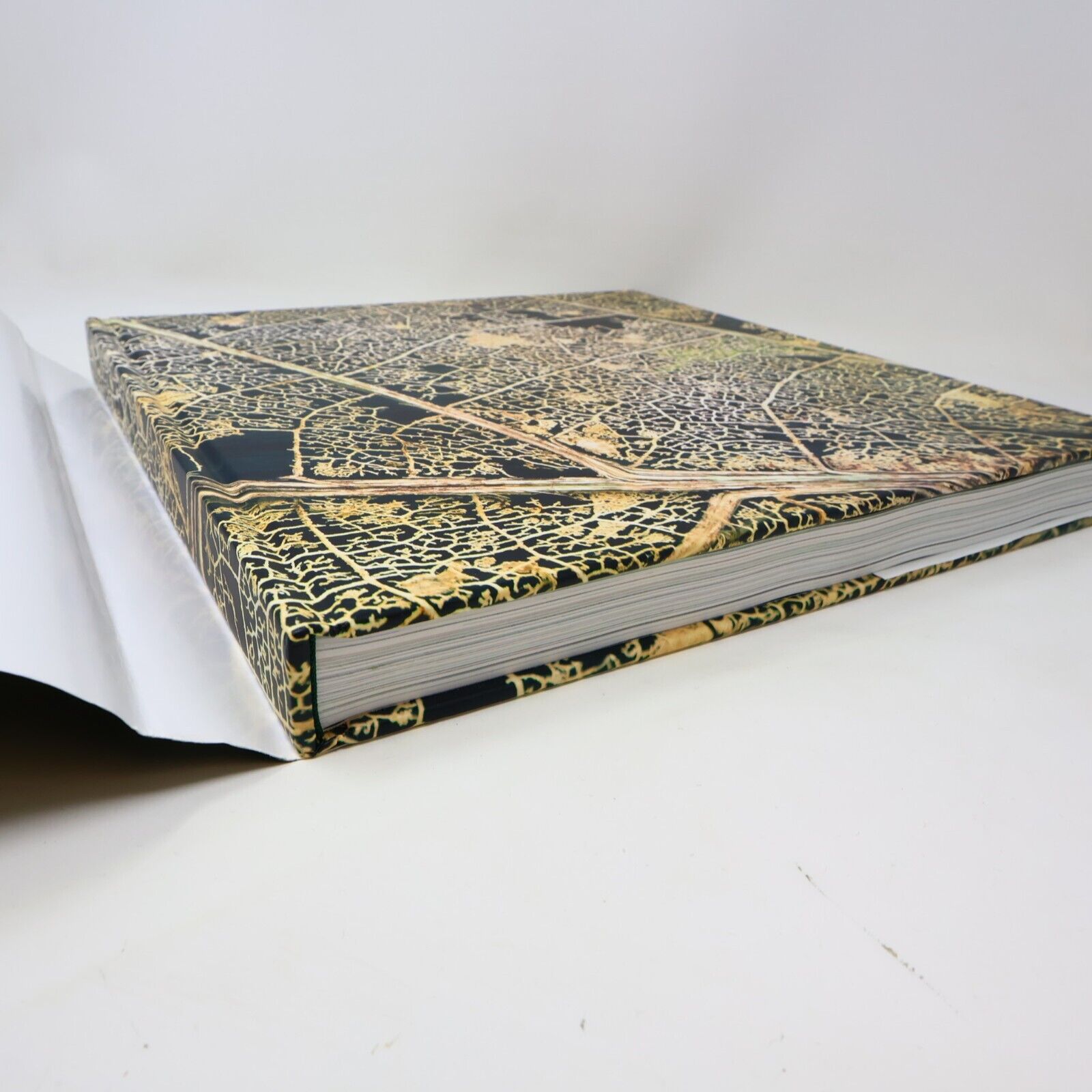 2014 Rainforest by Lewis Blackwell Nature Photos Harry N. Abrams Book Hardcover