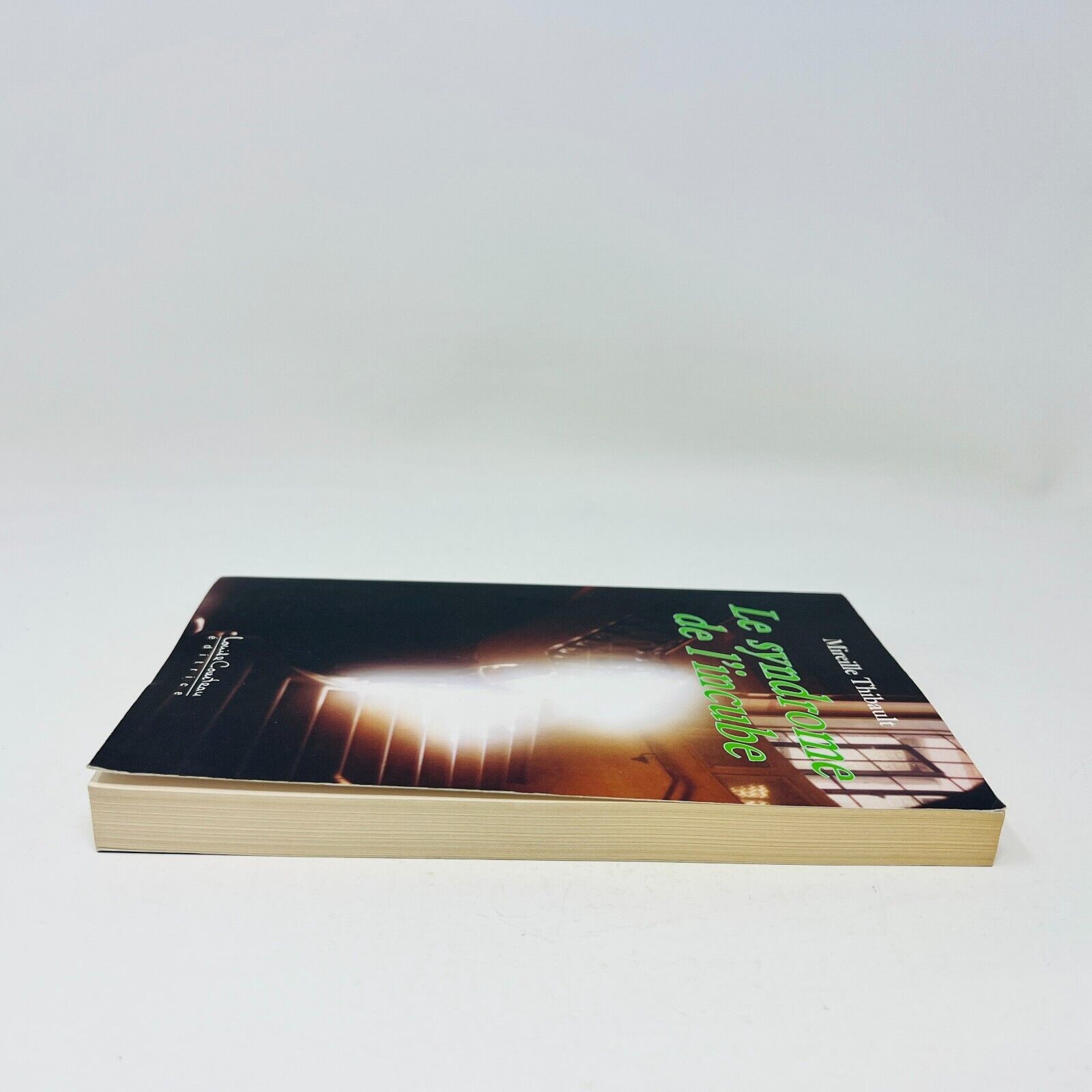 2004 Le Syndrome de l'Incube de Mireille Thibault Français Livre Louise Courteau