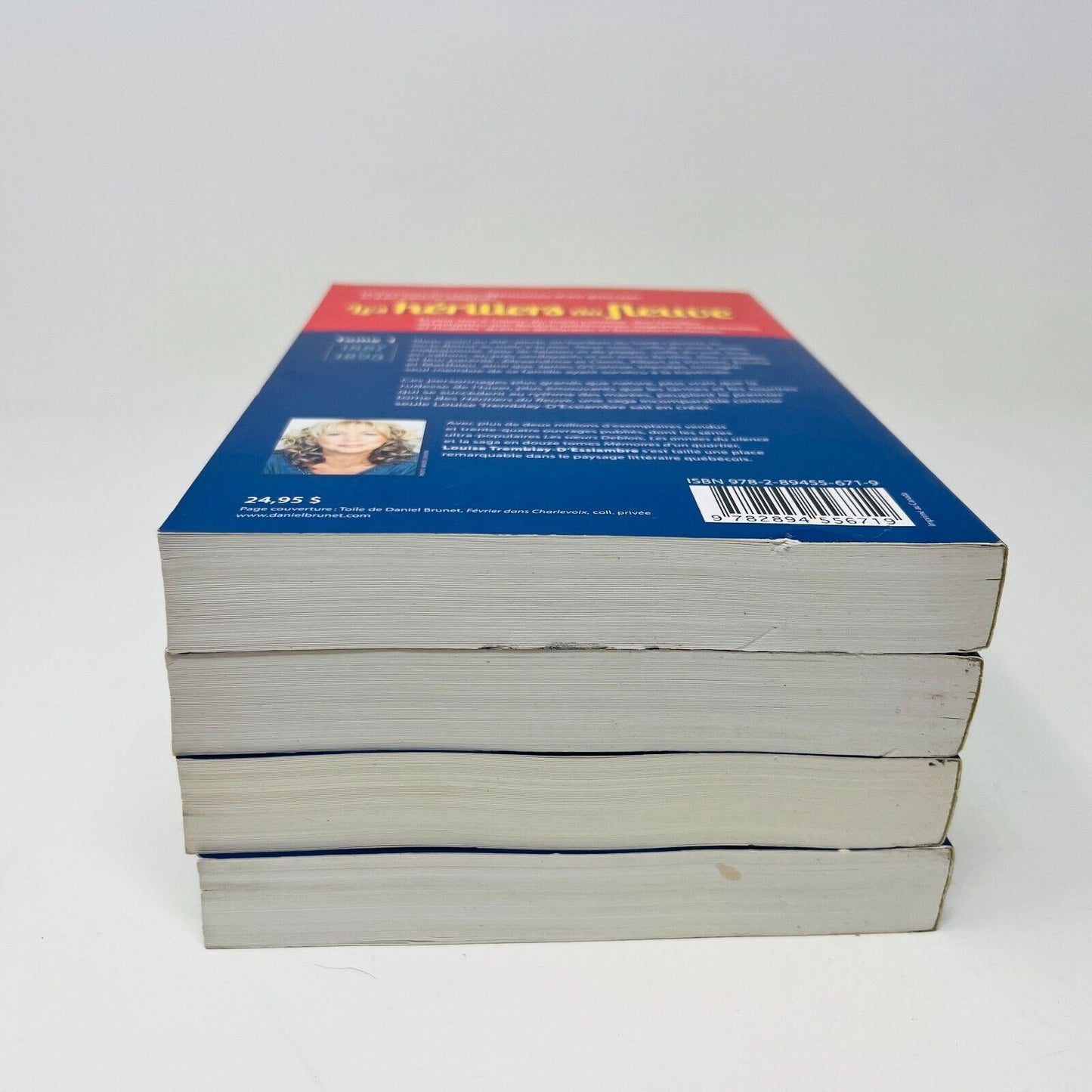 Les Héritiers du Fleuve Tomes 1-4 Série Complète de Louise Tremblay D'Essiambre