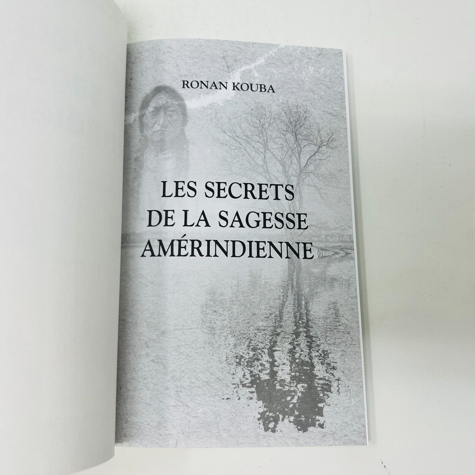 2010 Les Secrets de la Sagesse Amérindienne de Ronan Kouba Chamanisme Astrologie