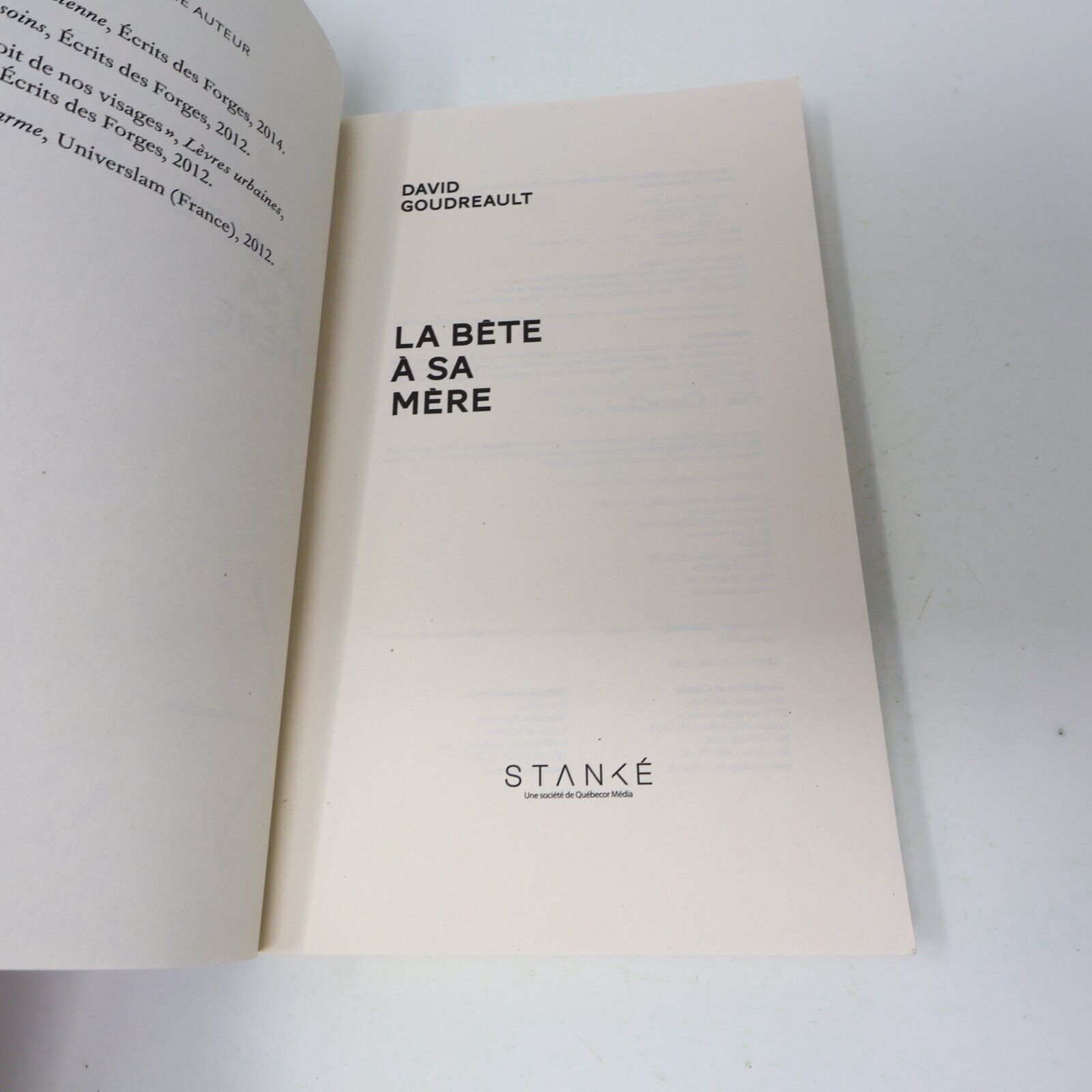 2015 La Bête à sa Mère David Goudreault Stanké Français Paperback Roman Québec