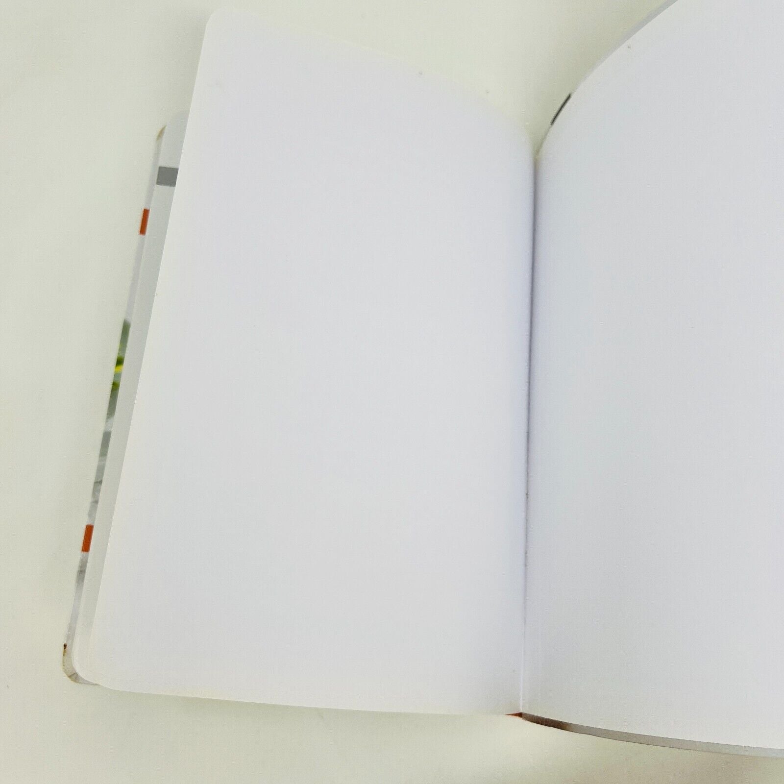 Lot de 2 Livres de Recettes Sans Gluten 21 Jours de Menus/Grand Livre Français