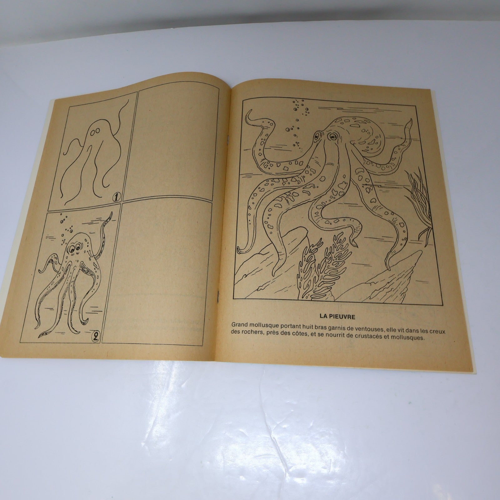 J'Apprends à Dessiner Lot 7 Livres à Colorier Québec Agenda Poissons/Espace 1984