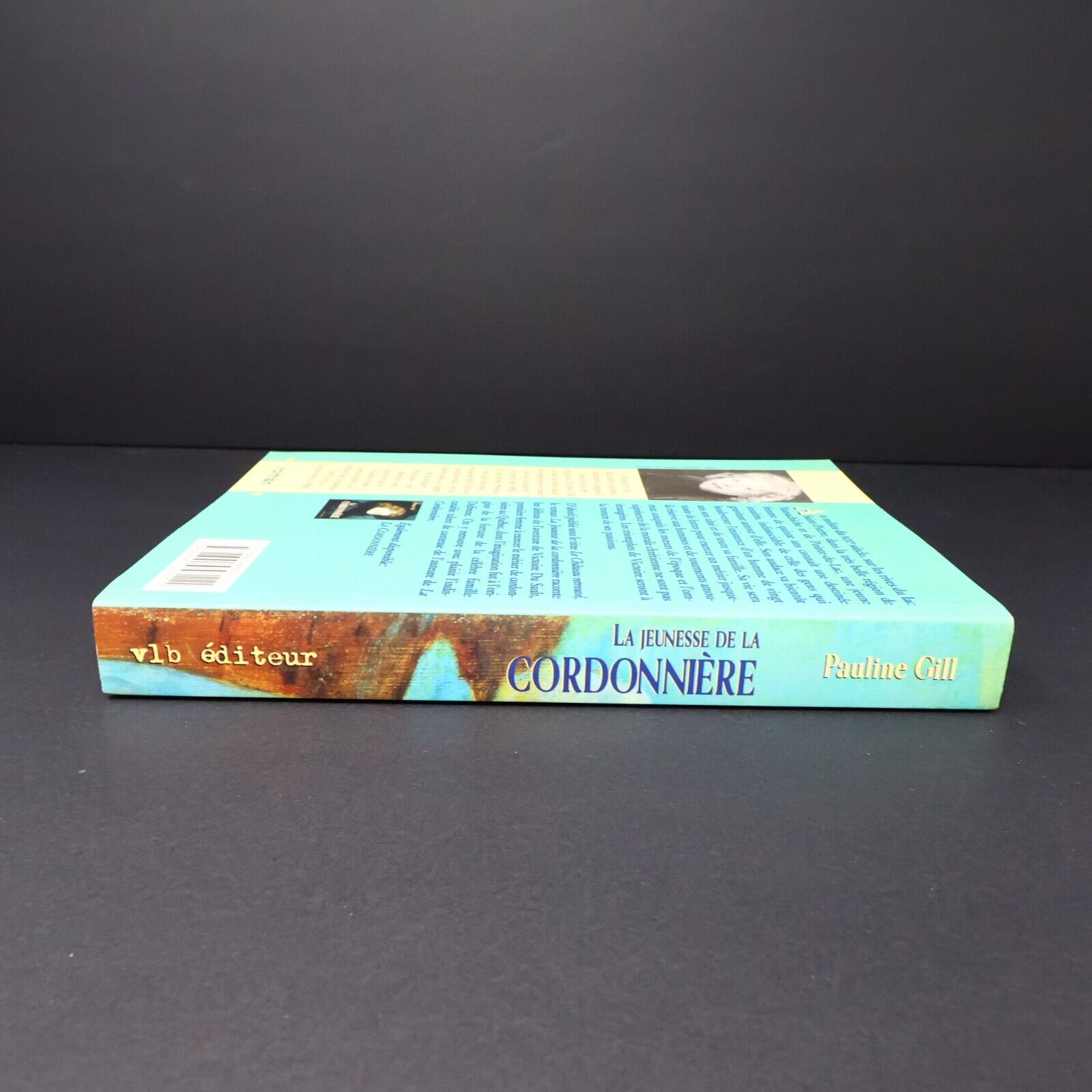 1999 La Jeunesse de la Cordonnière de Pauline Gill Paperback PB Vlb Roman Livre