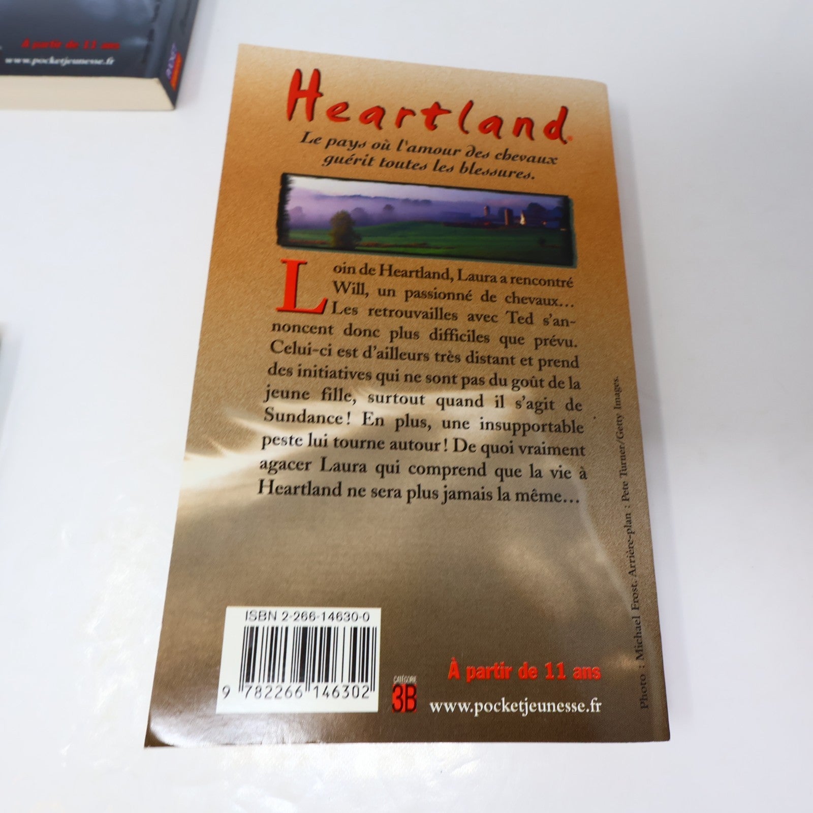 Heartland Lot 19 Livres Lauren Brooke Pocket Je Reste!/Après l'Orage Chevaux PB