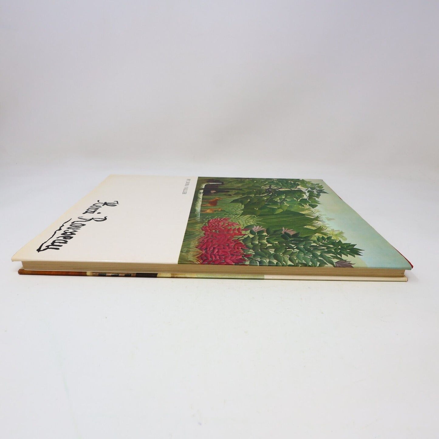 1979 Henri Rousseau The Douanier a File Artist's Monograph by Dora Vallier Book