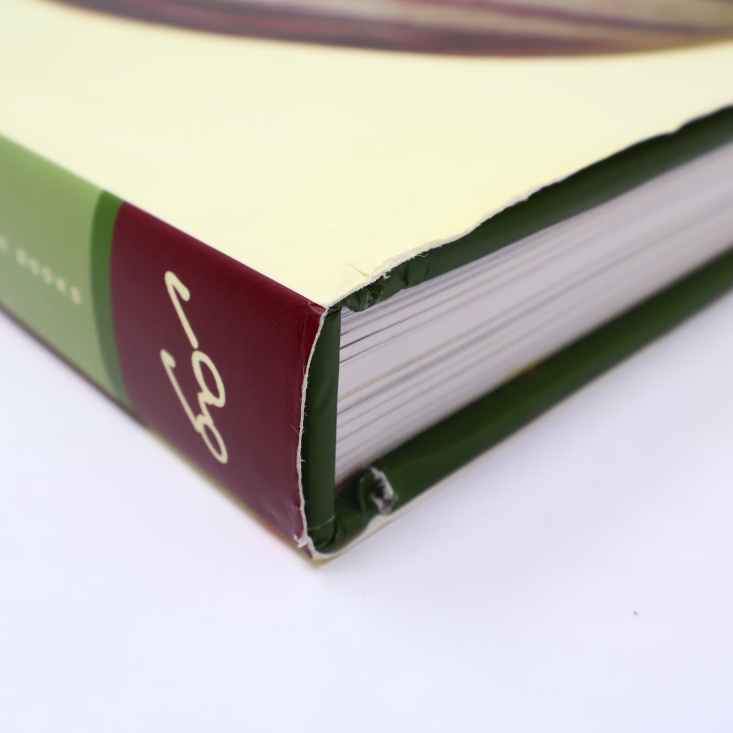 The Tulip Anthology Ron Van Dongen Chronicle Books 2010 HC DJ Art Photography